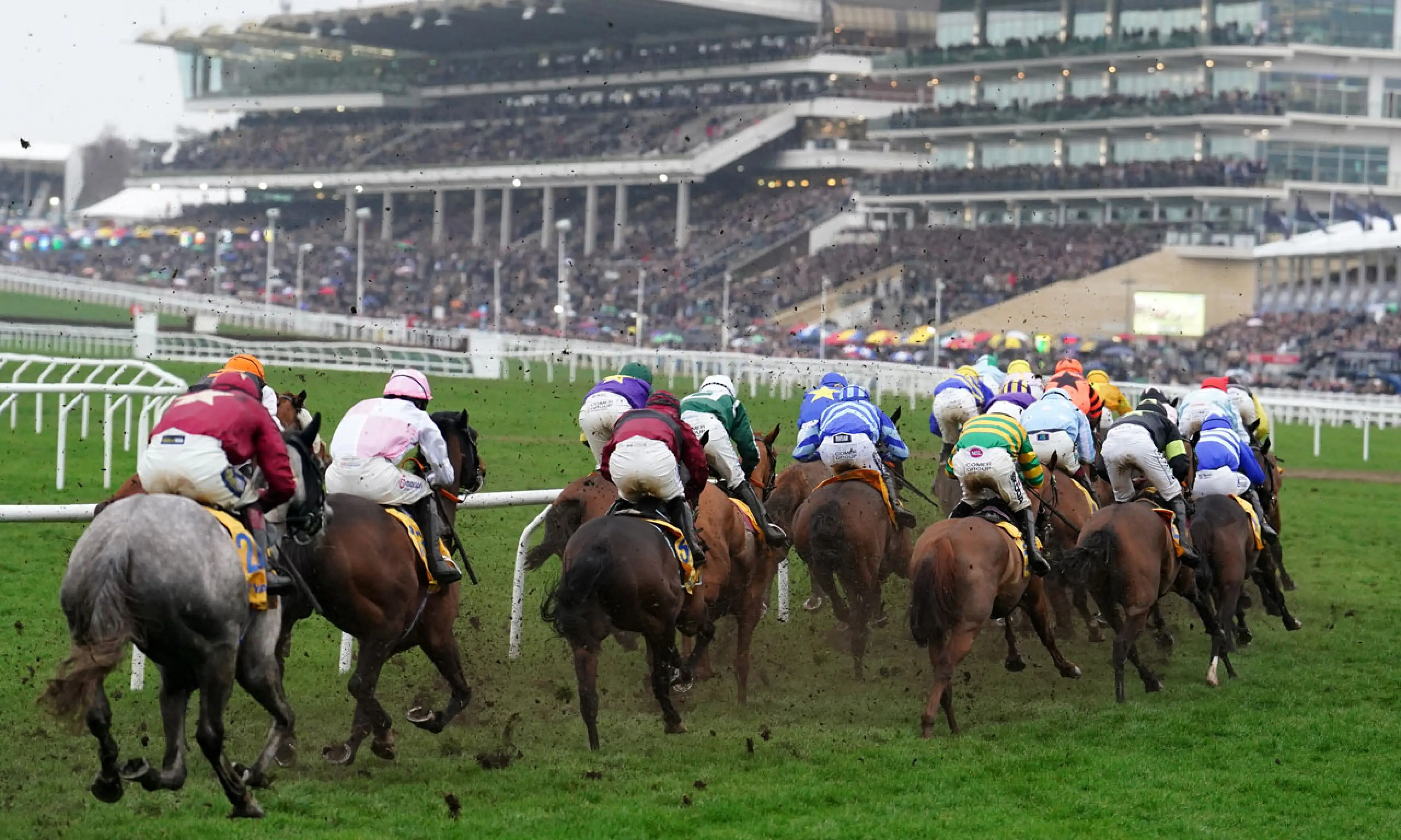 Cheltenham day 4 tips, horse racing
