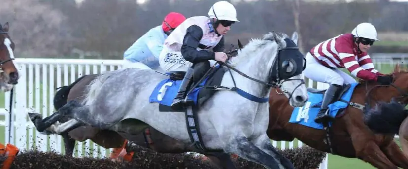 Teo Vivo odds and Monbeg Gold bets are among Corla's Musselburgh and Newbury tips for December 14.