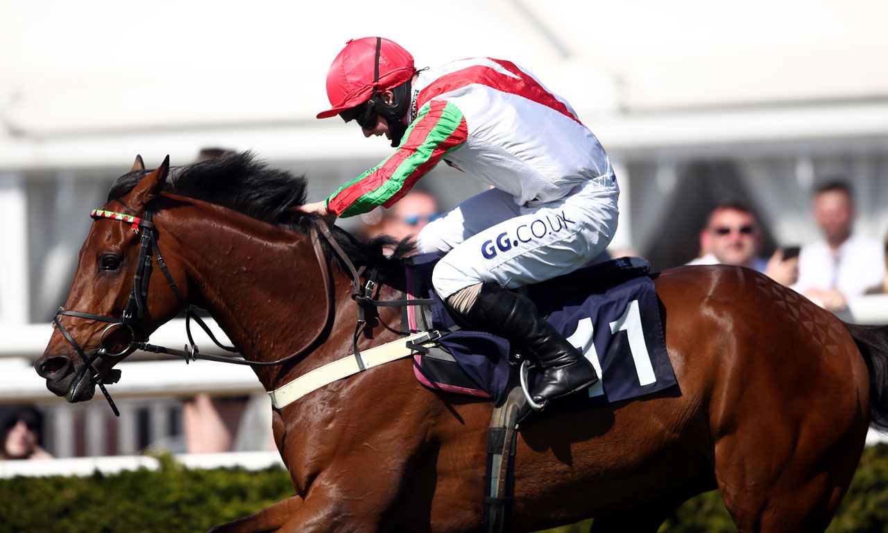 Sean Bowen Saturday Horse Racing Tips