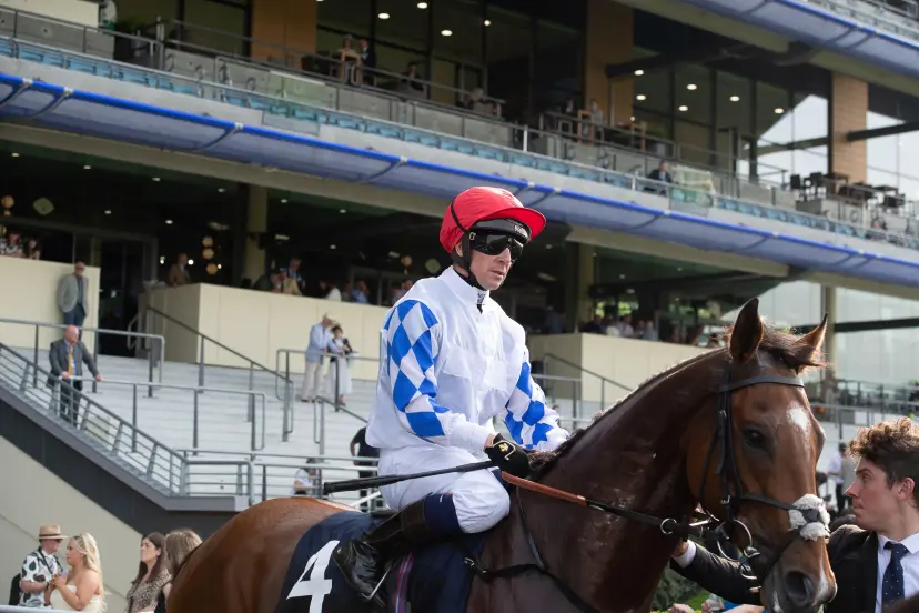 Horse KUWAIT CITY ridden by jockey Jim Crowley heads out onto the racetrack for the Peroni Nastro Azzurro 0.0% Blue Ribbon Handicap Stakes at Ascot Racecourse at the Peroni Nastro Azzurro 0.0% Victoria Cup Raceday.