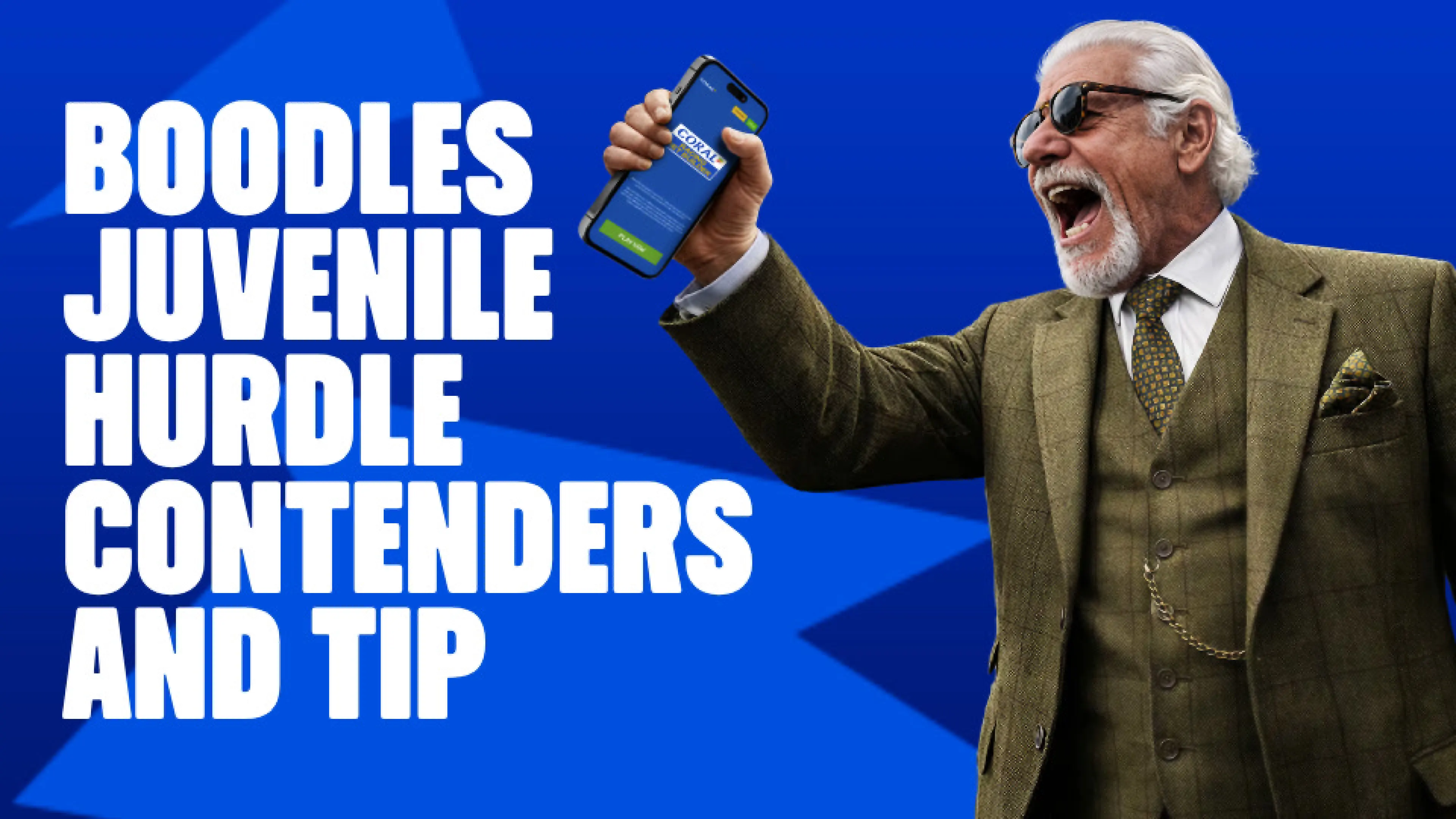 OnS SEO Sports 960x540   BOODLES JUVENILE HURDLE CONTENDERS AND TIP