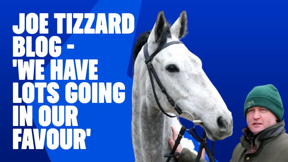 Joe Tizzard Saturday runners blog - November 22, 2025