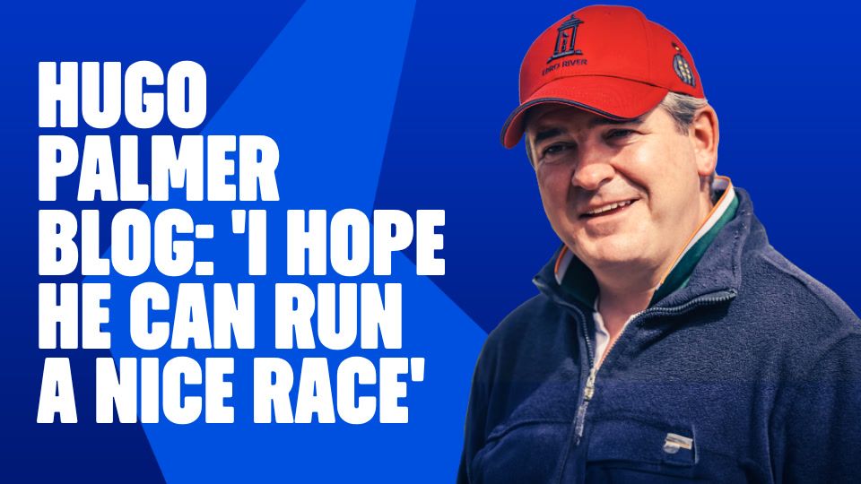 Hugo Palmer Saturday runners blog - May 2, 2026