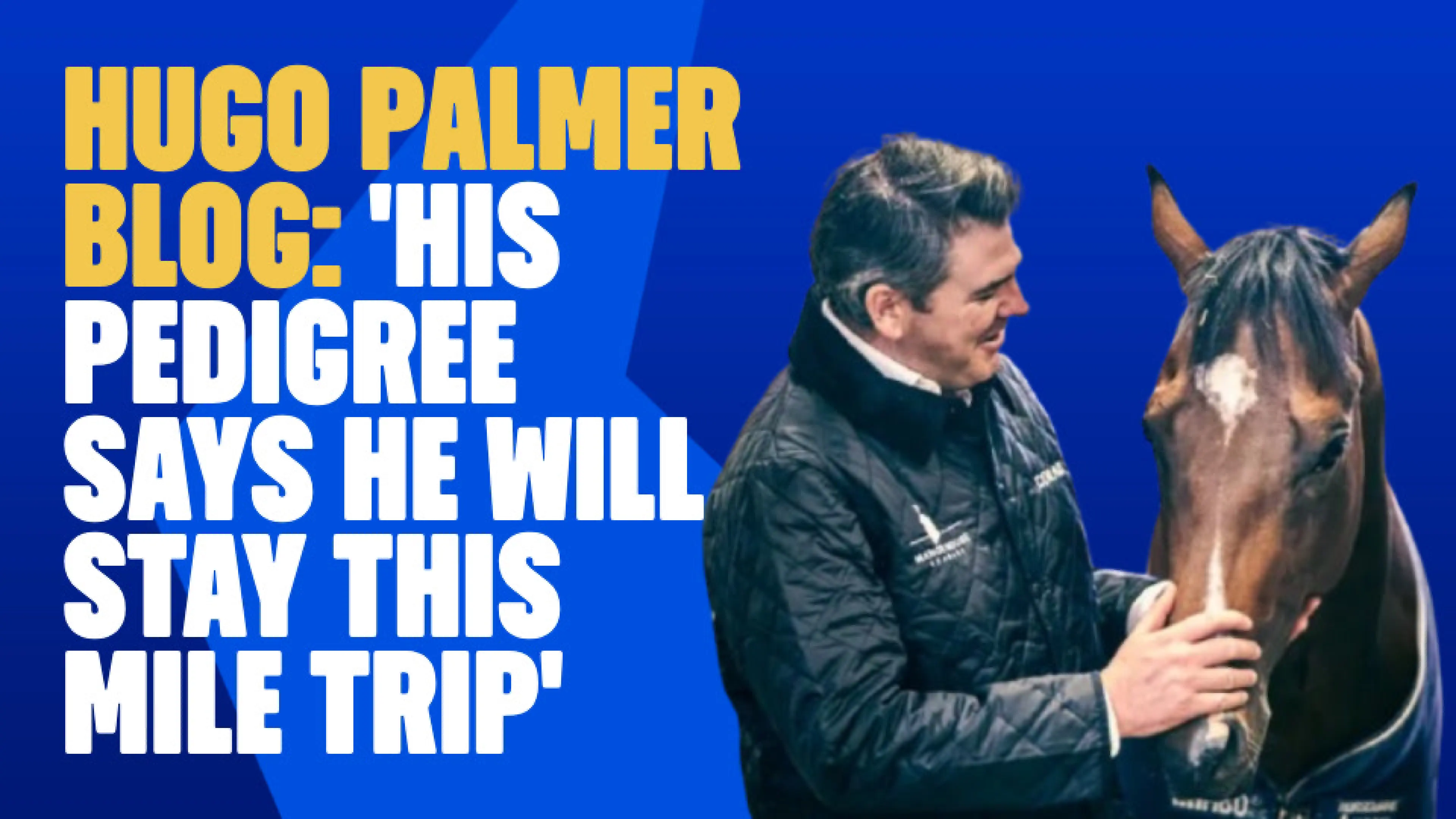 OnS SEO Sports 960x540   HUGO PALMER BLOG HIS PEDIGREE SAYS HE WILL STAY THIS MILE TRIP