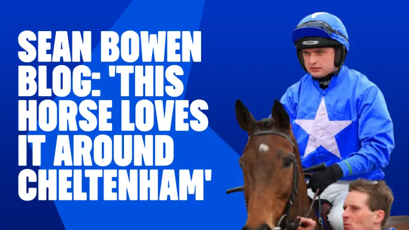 OnS SEO Sports 960x540 SEAN BOWEN BLOG THIS HORSE LOVES IT AROUND CHELTENHAM