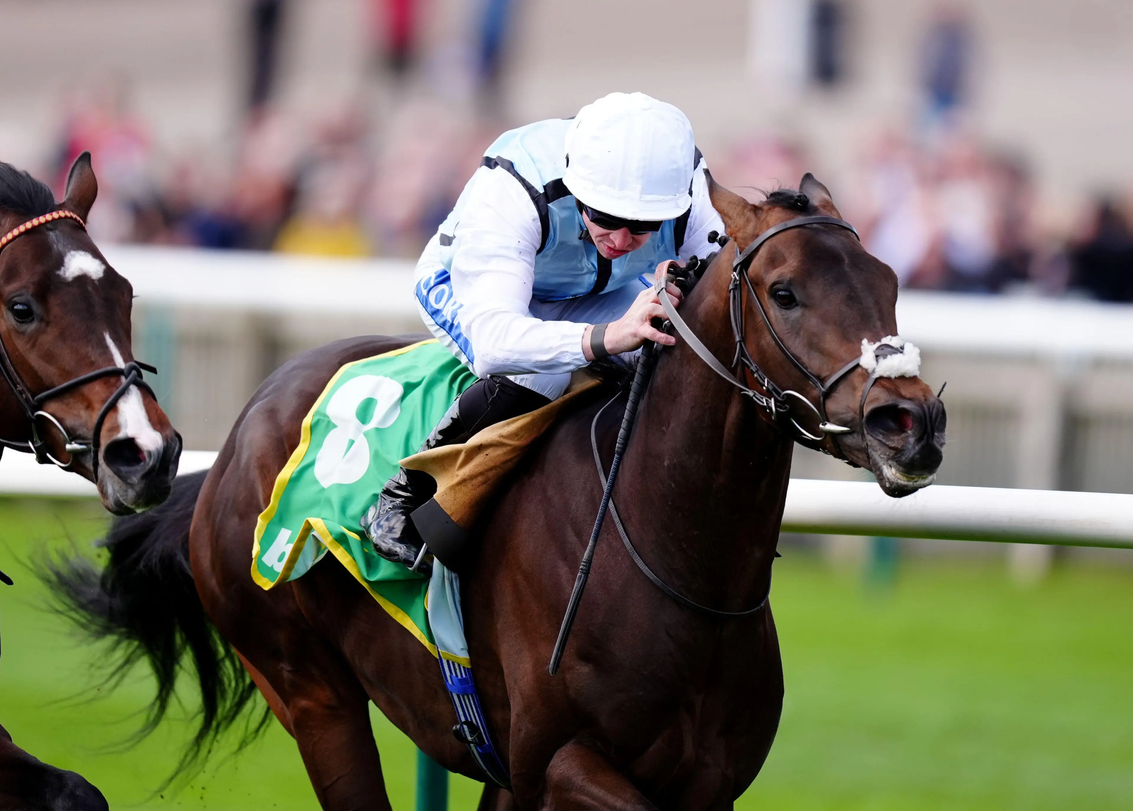 High Stock ridden by David Probert during the bet365 Wood Ditton Maiden Stakes at Newmarket Racecourse