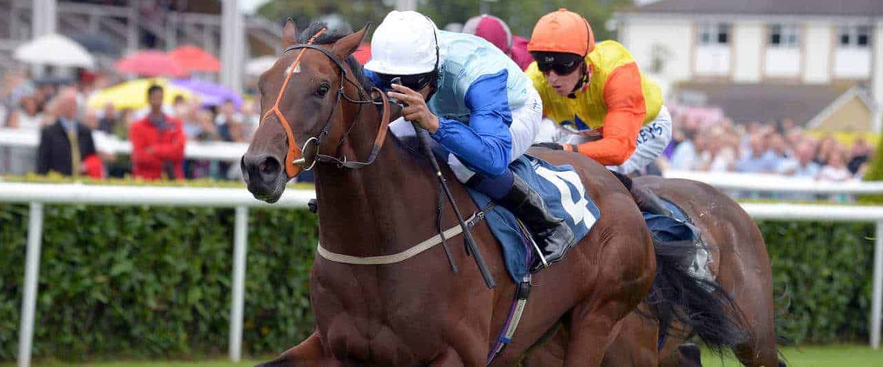 Doncaster preview: Weatherbys Hamilton 300,000 2-Y-O Stakes (15.40)