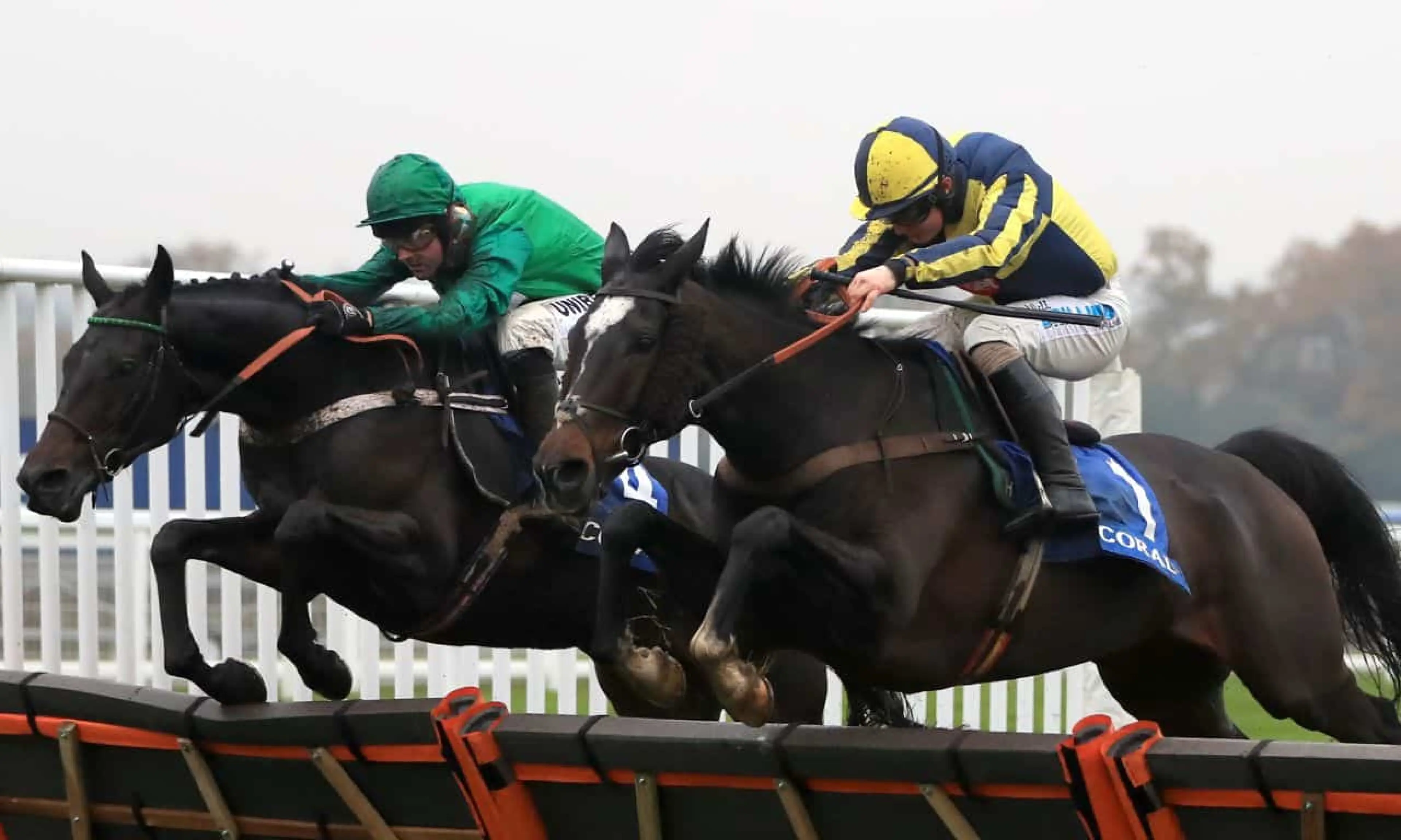 Coral Hurdle
