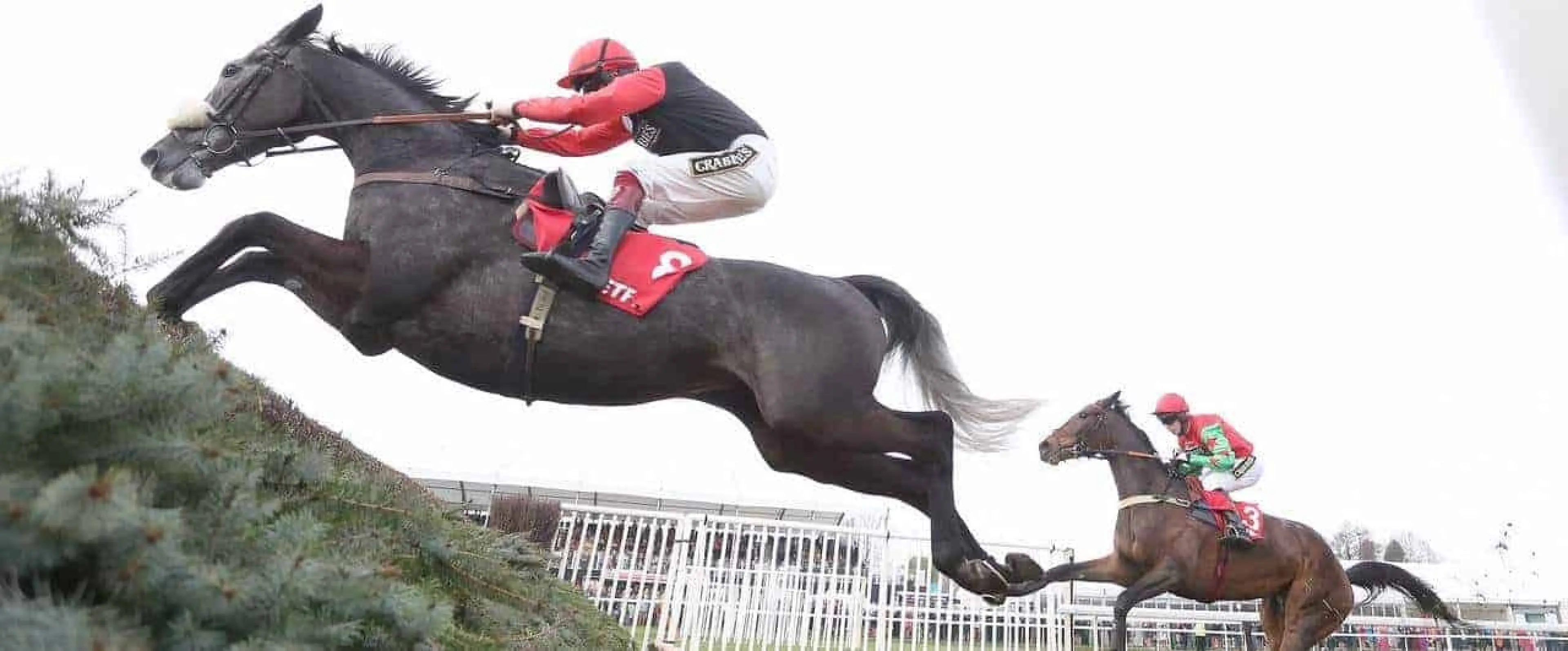 Saphir Du Rheu odds are recommended among West Yorkshire Hurdle tips from Wetherby by Coral horse racing experts.