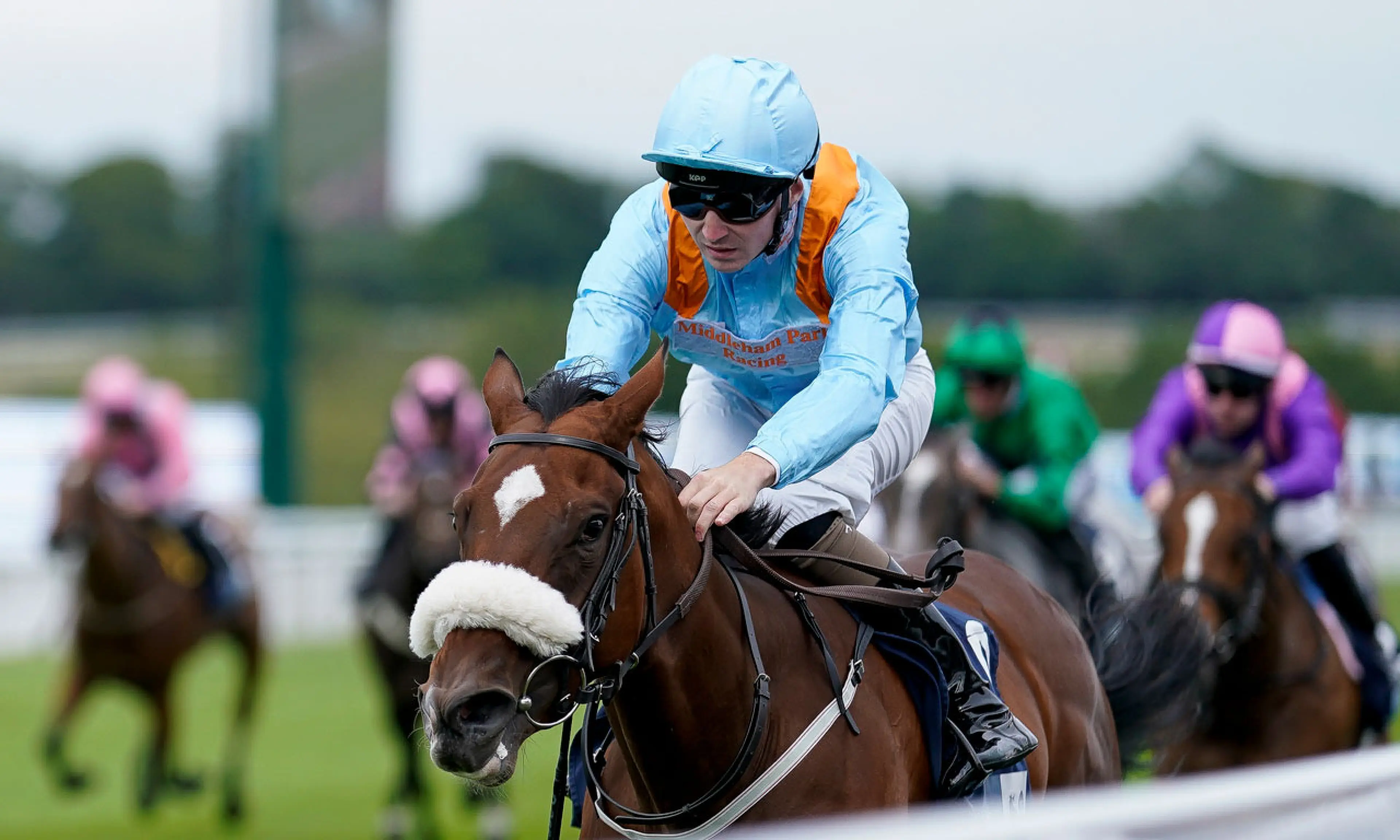 The Platinum Queen, Breeders' Cup betting, Nunthorpe Stakes, horse racing
