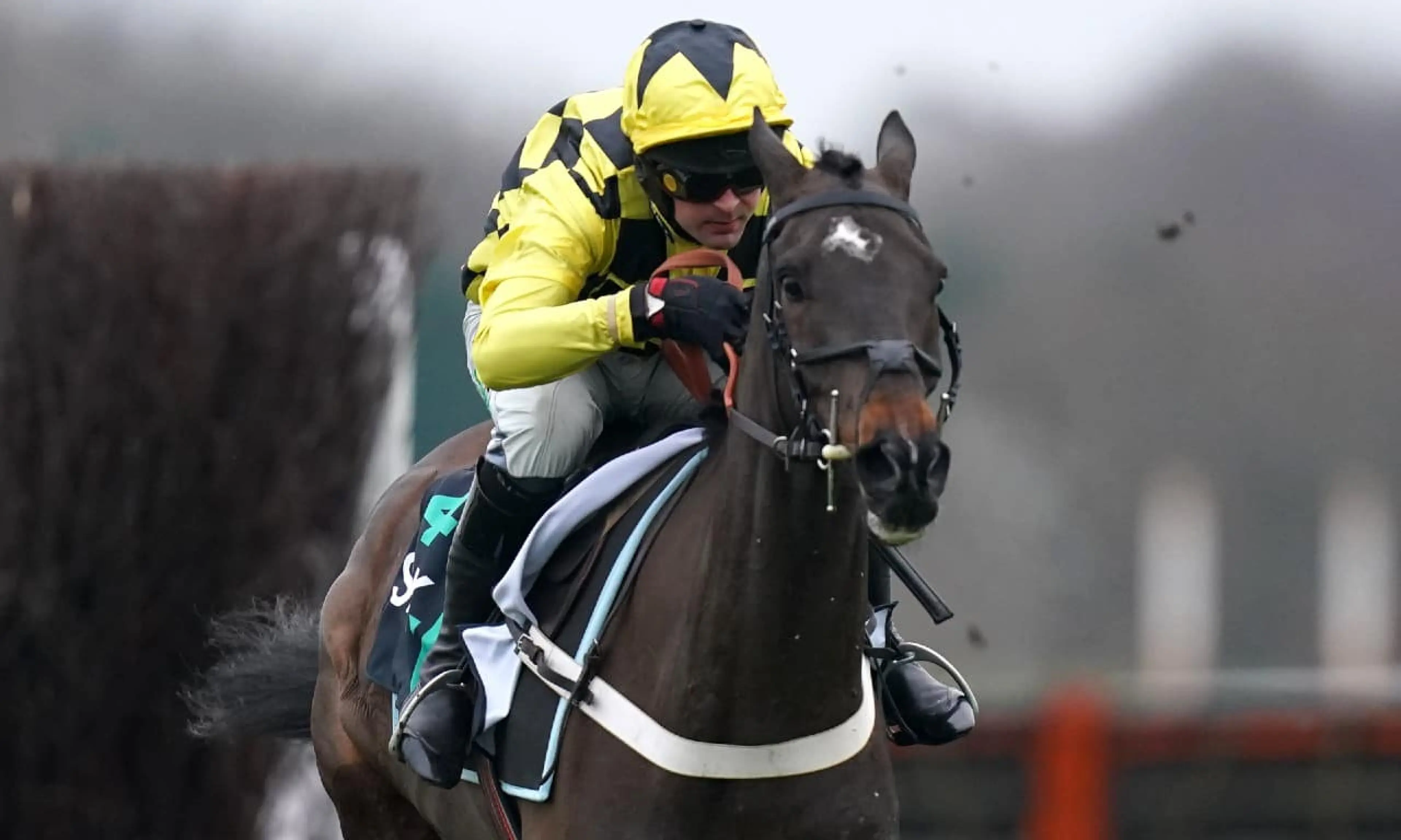 Shishkin, 1965 Chase betting odds, horse racing