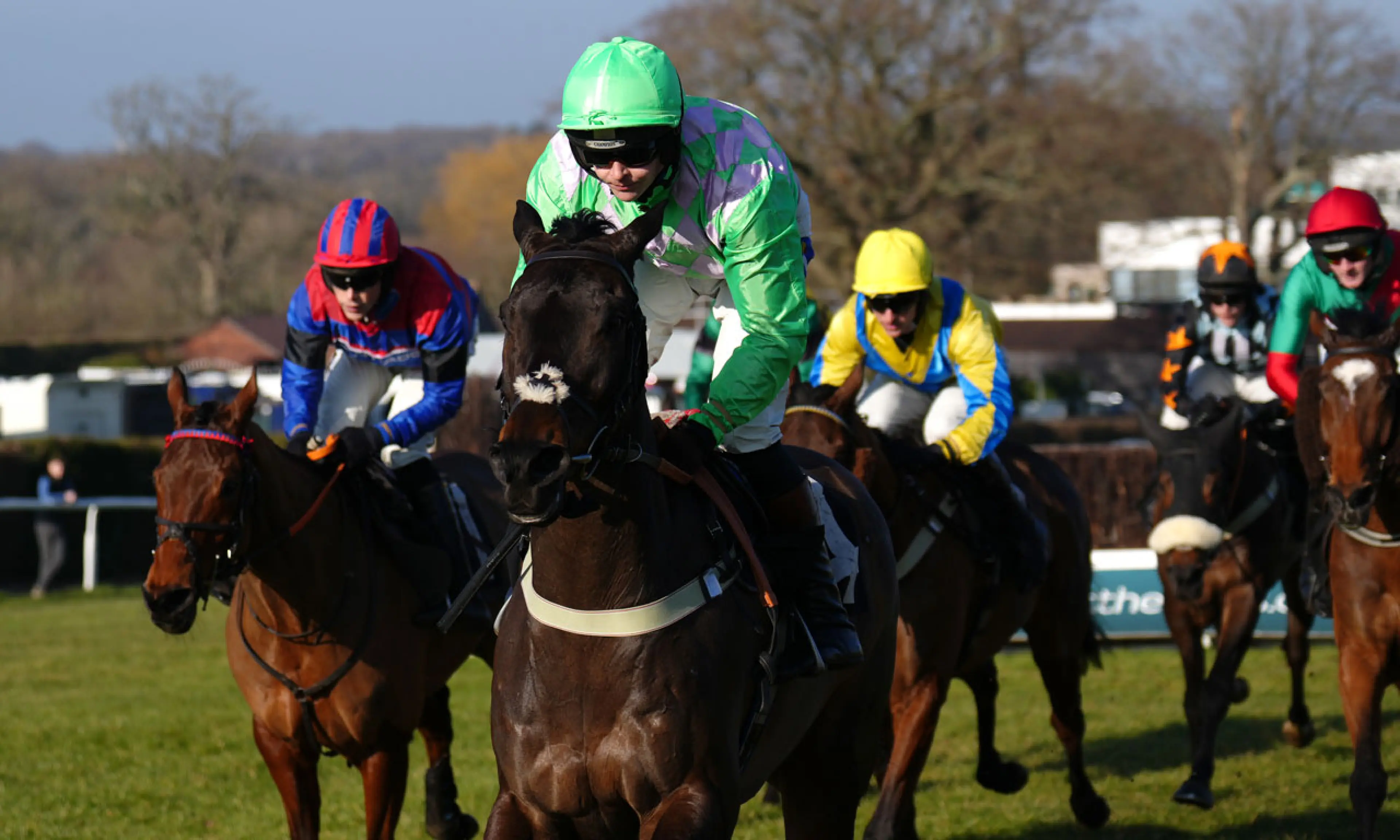 Le Ligerien, Brendan Powell, Joe Tizzard, horse racing