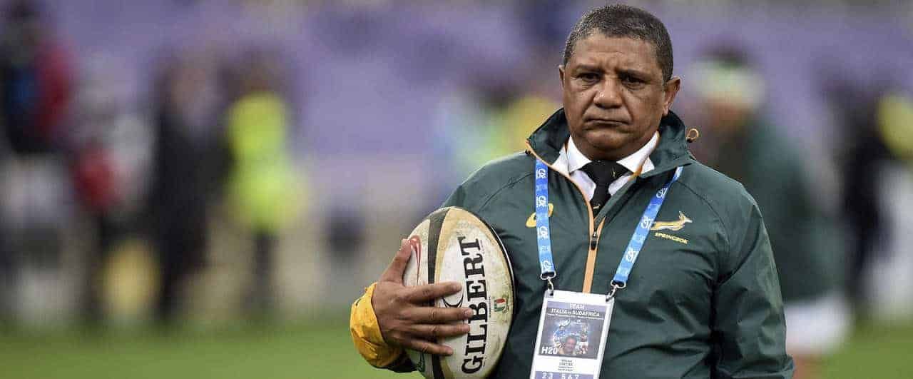 What’s gone wrong with struggling Springboks ahead of must-win Wales game?