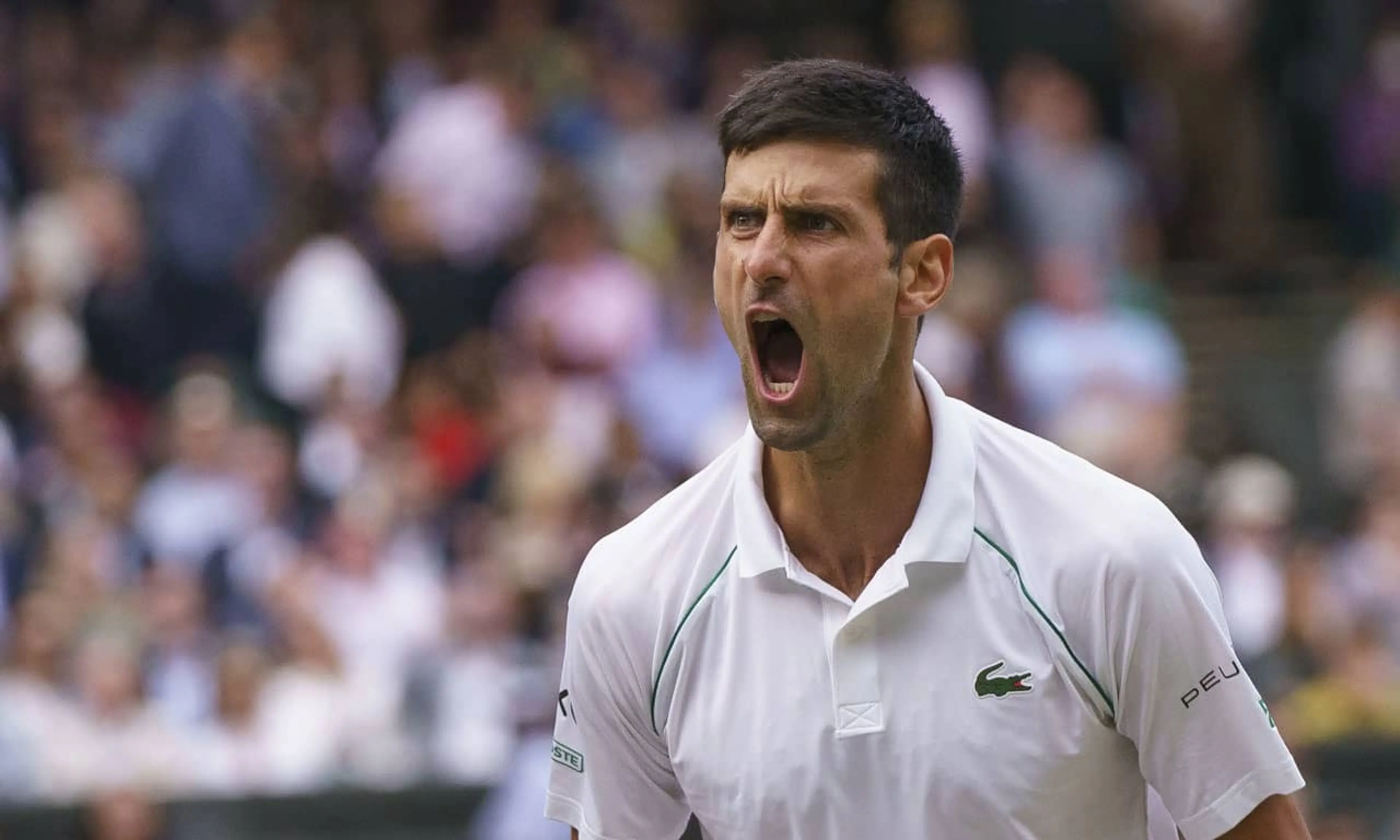 The Serbian is the favourite in Djokovic v Berrettini betting tips