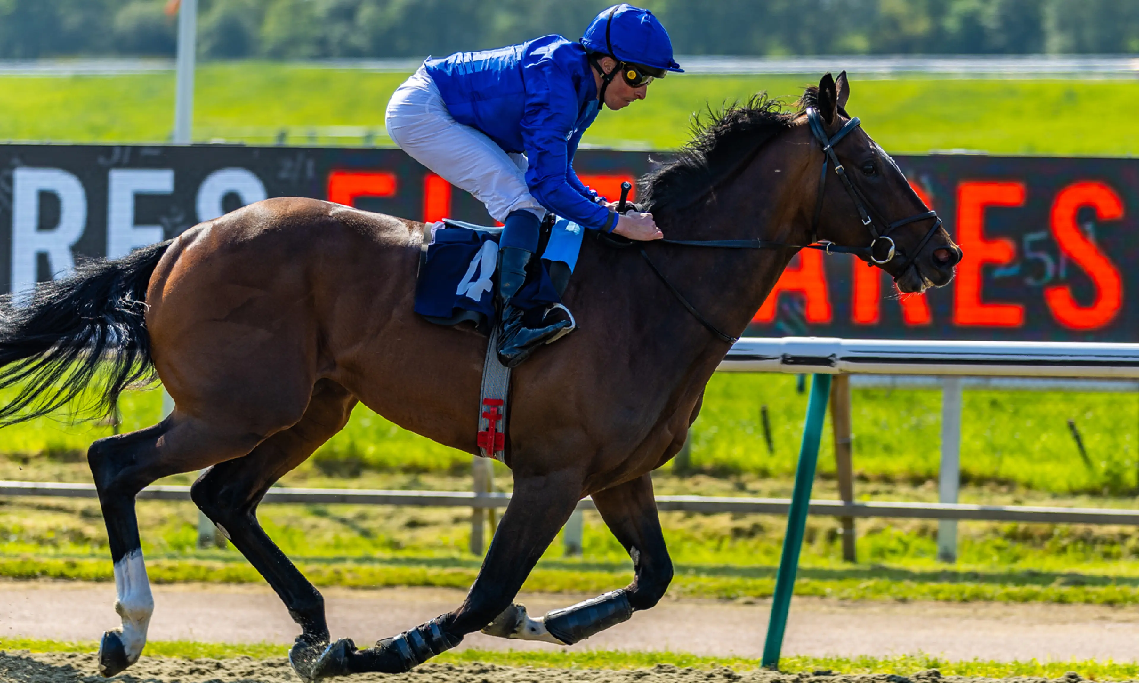 Epsom Derby betting tips, Military Order