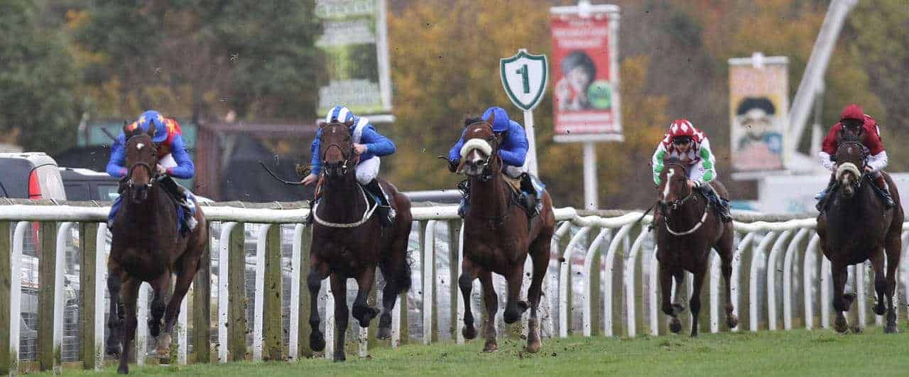 Catterick Preview: Rusty Rocket ready for take-off