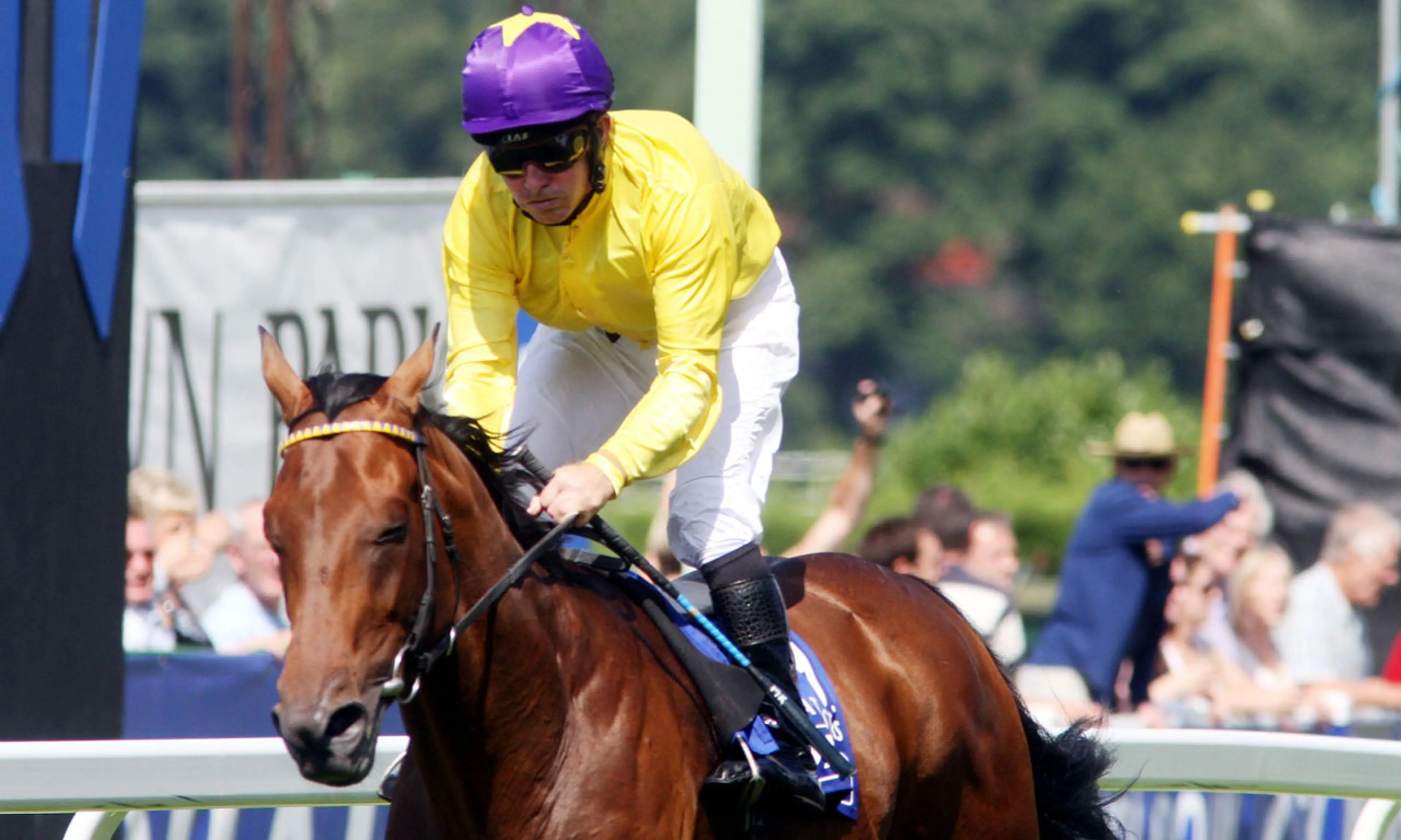 Sea The Stars, horse racing, hall of fame