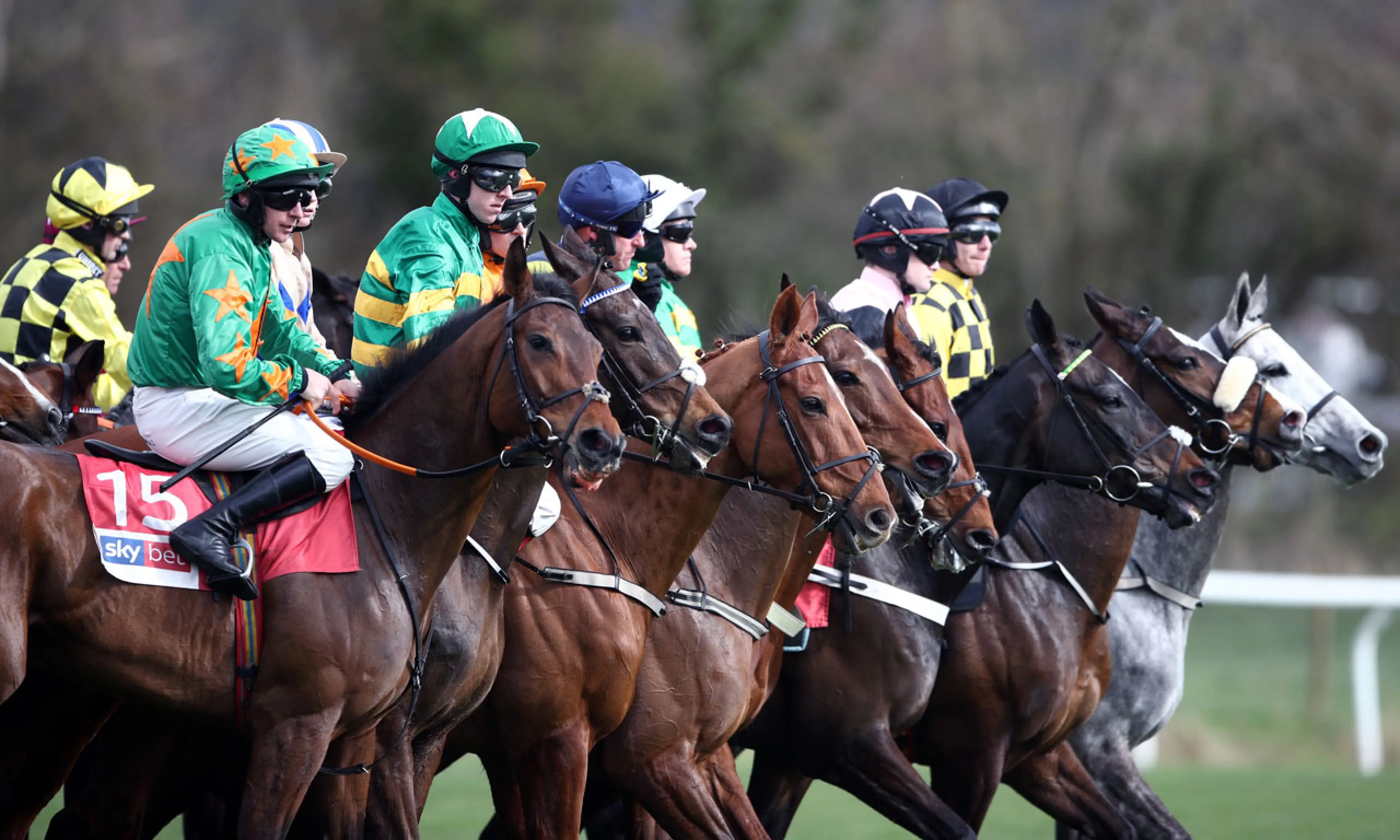 Cheltenham day 1 tips, horse racing