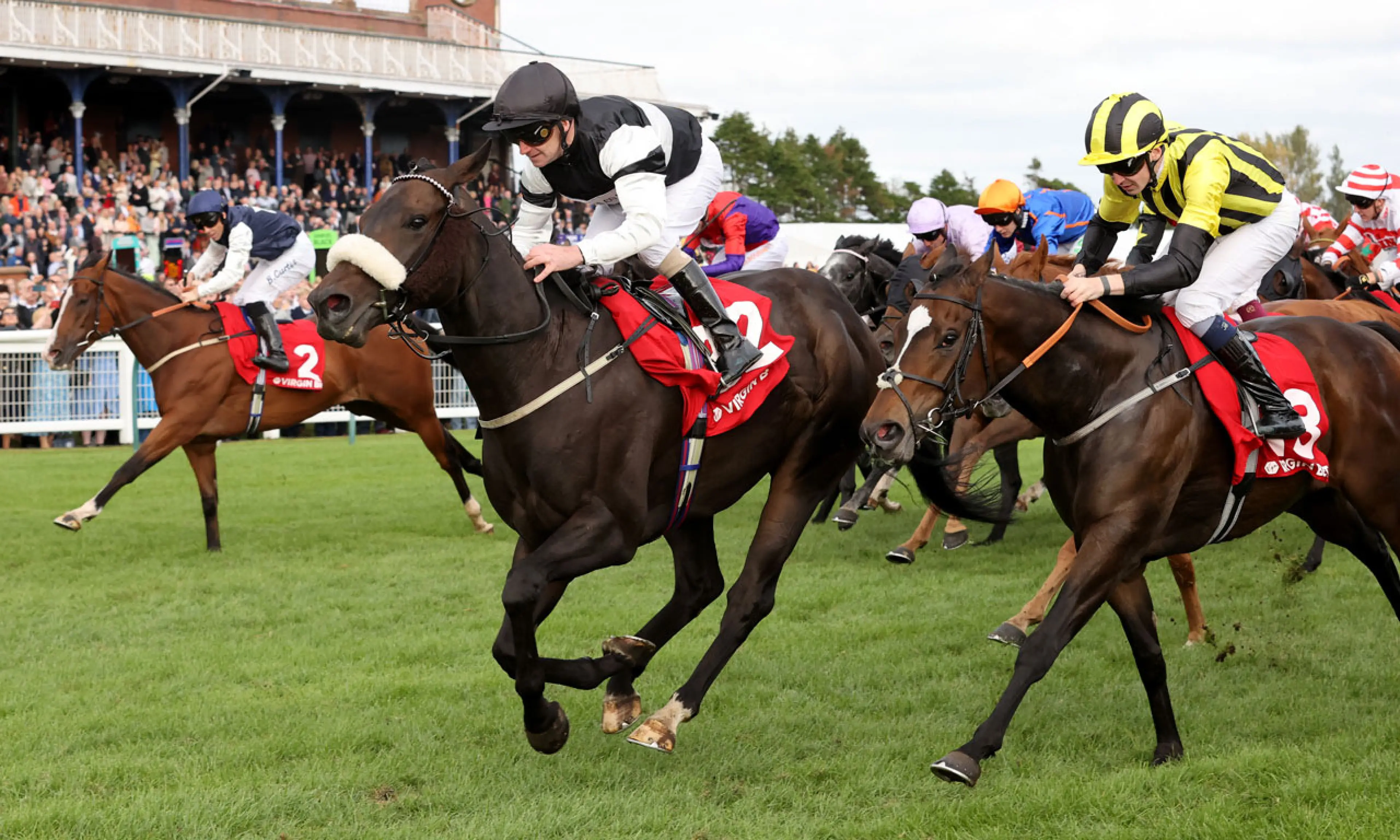 Significantly, Coral Sprint Trophy, horse racing