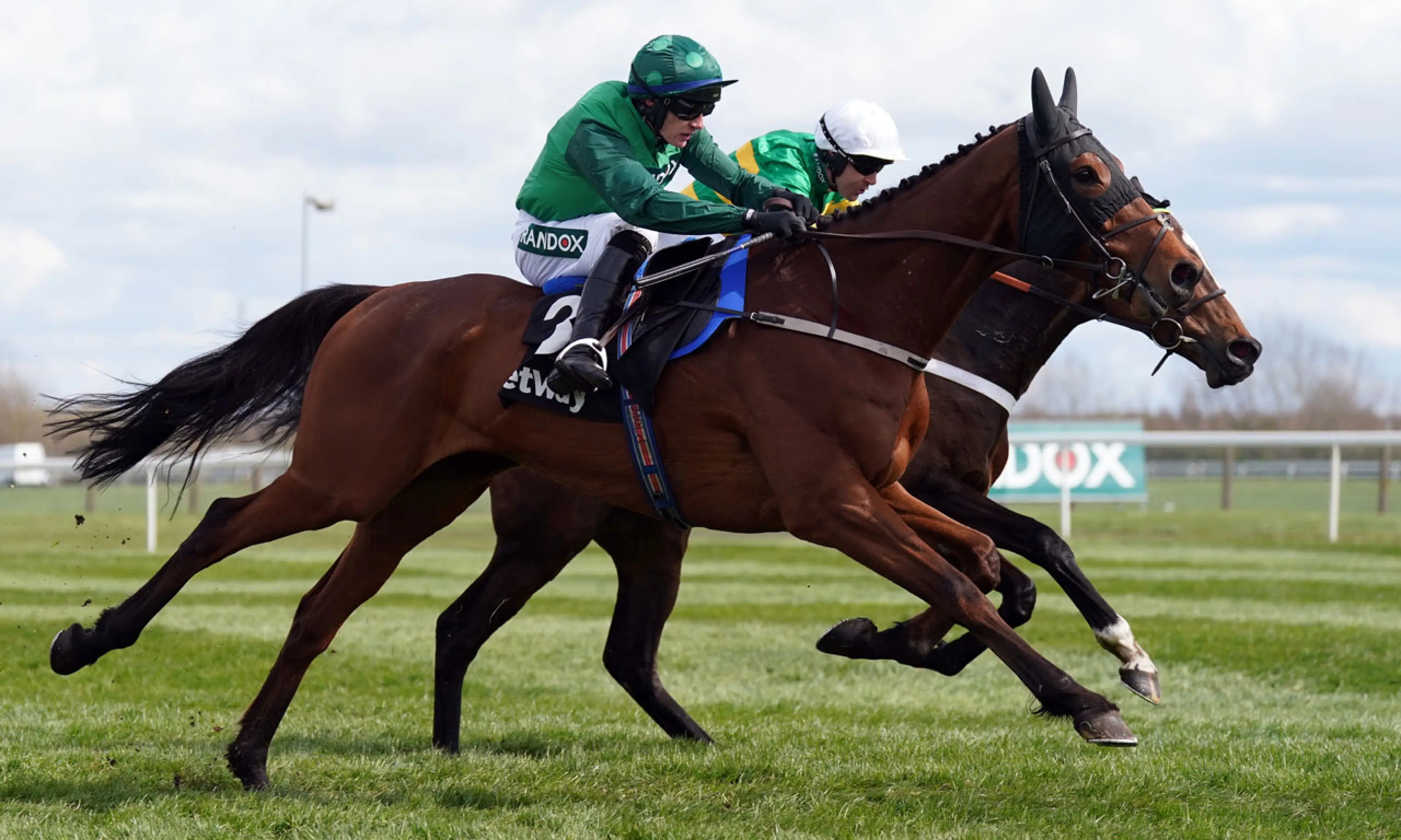 El Fabiolo, Champion Chase betting odds, horse racing