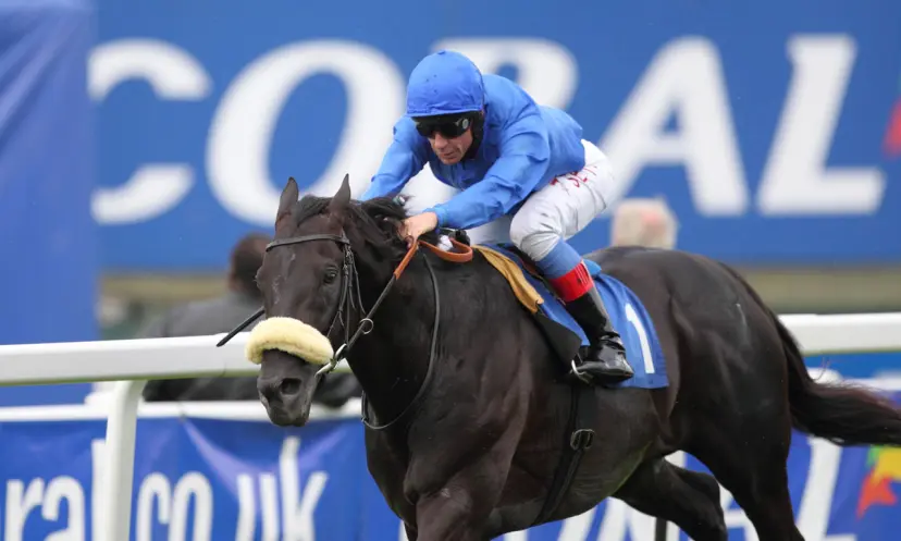 Frankie Dettori stats, horse racing