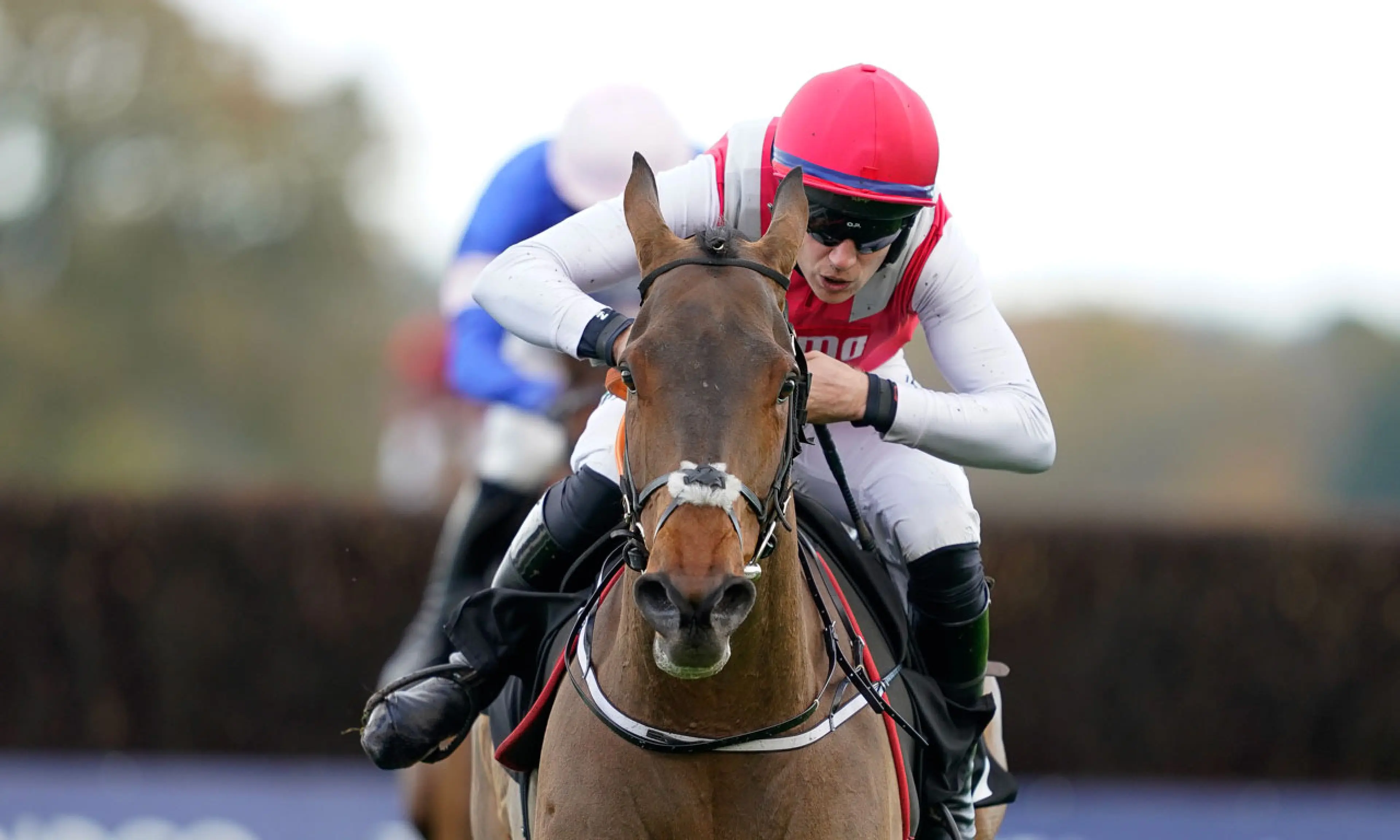 Thunder Rock, December Gold Cup betting, horse racing