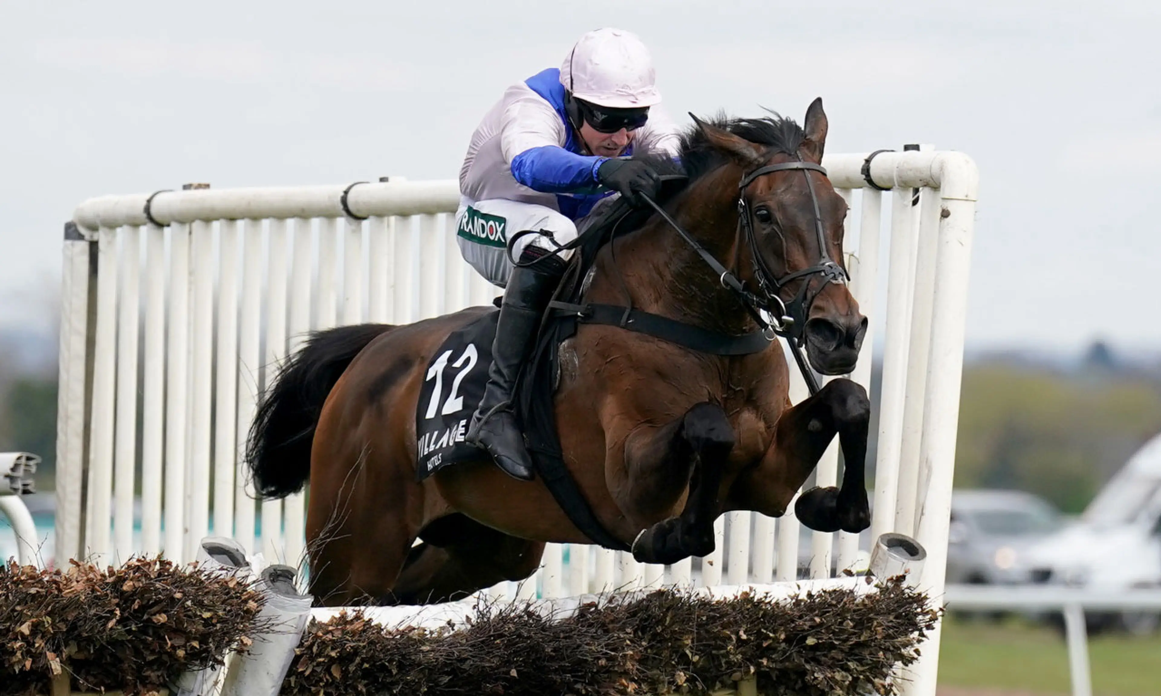 West Balboa, Howden Long Walk Hurdle betting odds, horse racing
