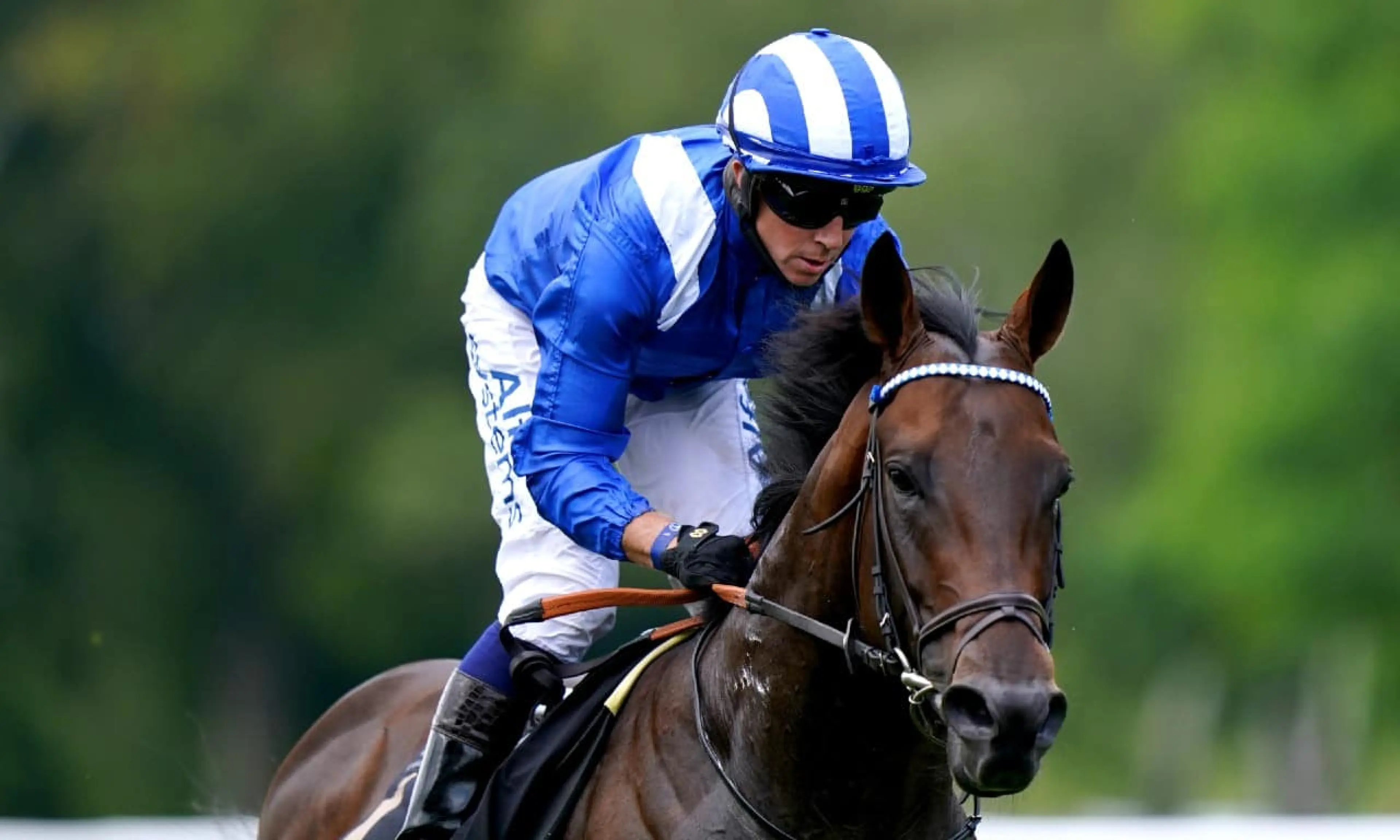 Baaeed, Jim Crowley, horse racing