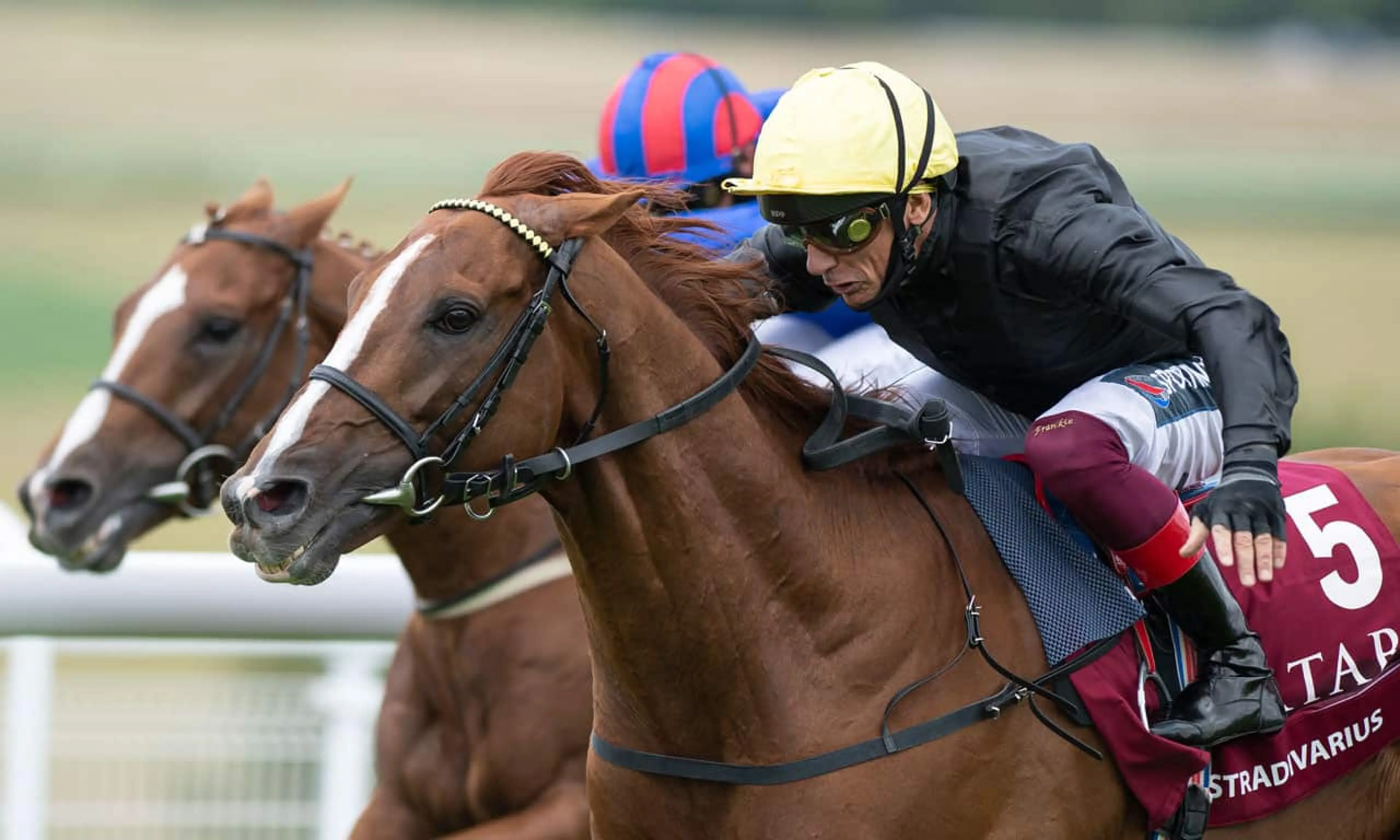 Stradivarius is looking to win a fourth Ascot Gold Cup