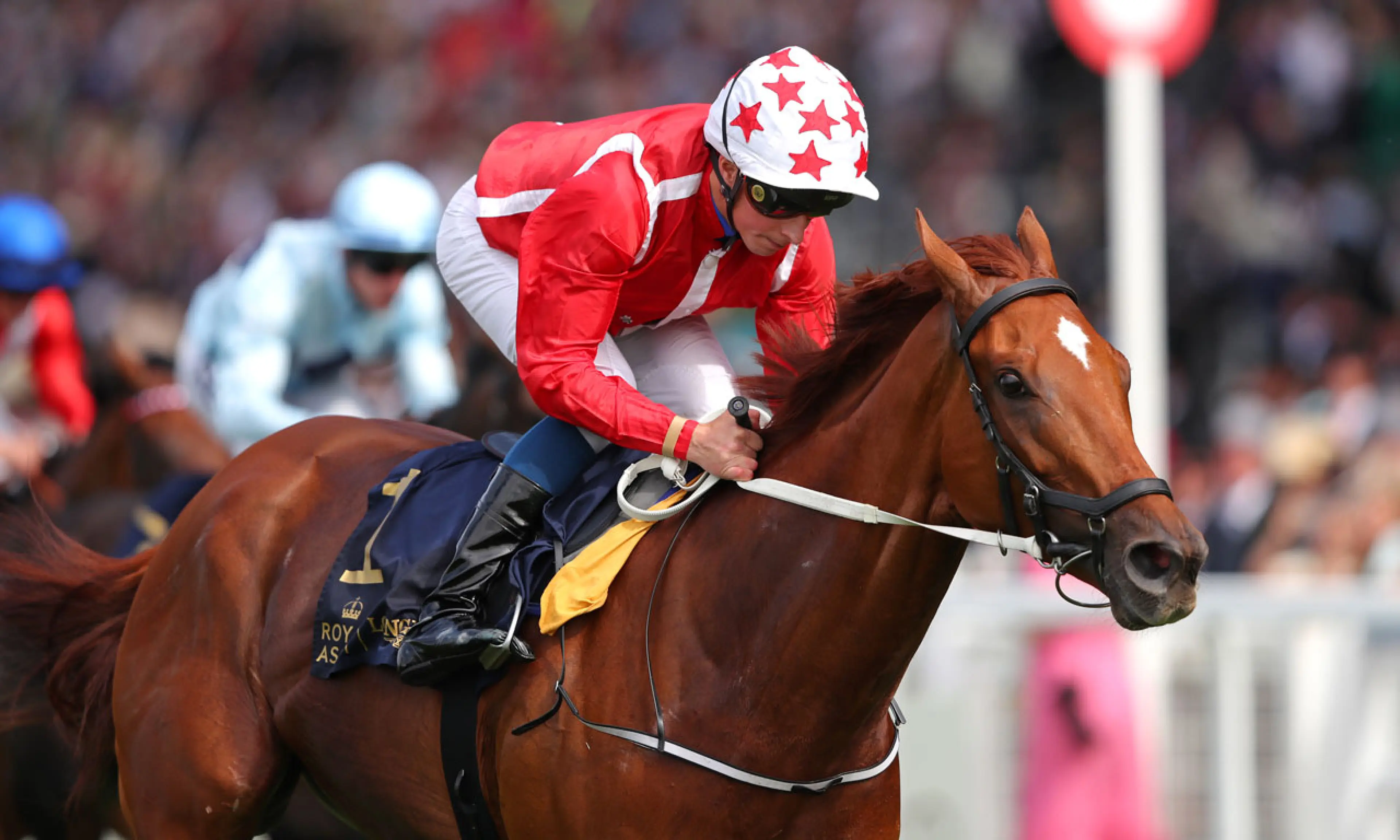 Saffron Beach, horse racing