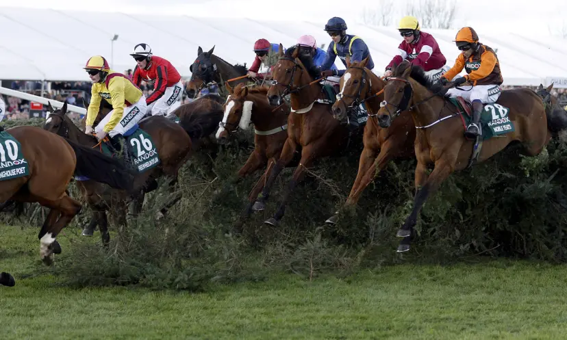 Grand National trends, horse racing