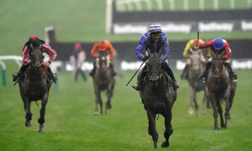 Queen Mother Champion Chase, Energumene, Cheltenham Festival on Wednesday