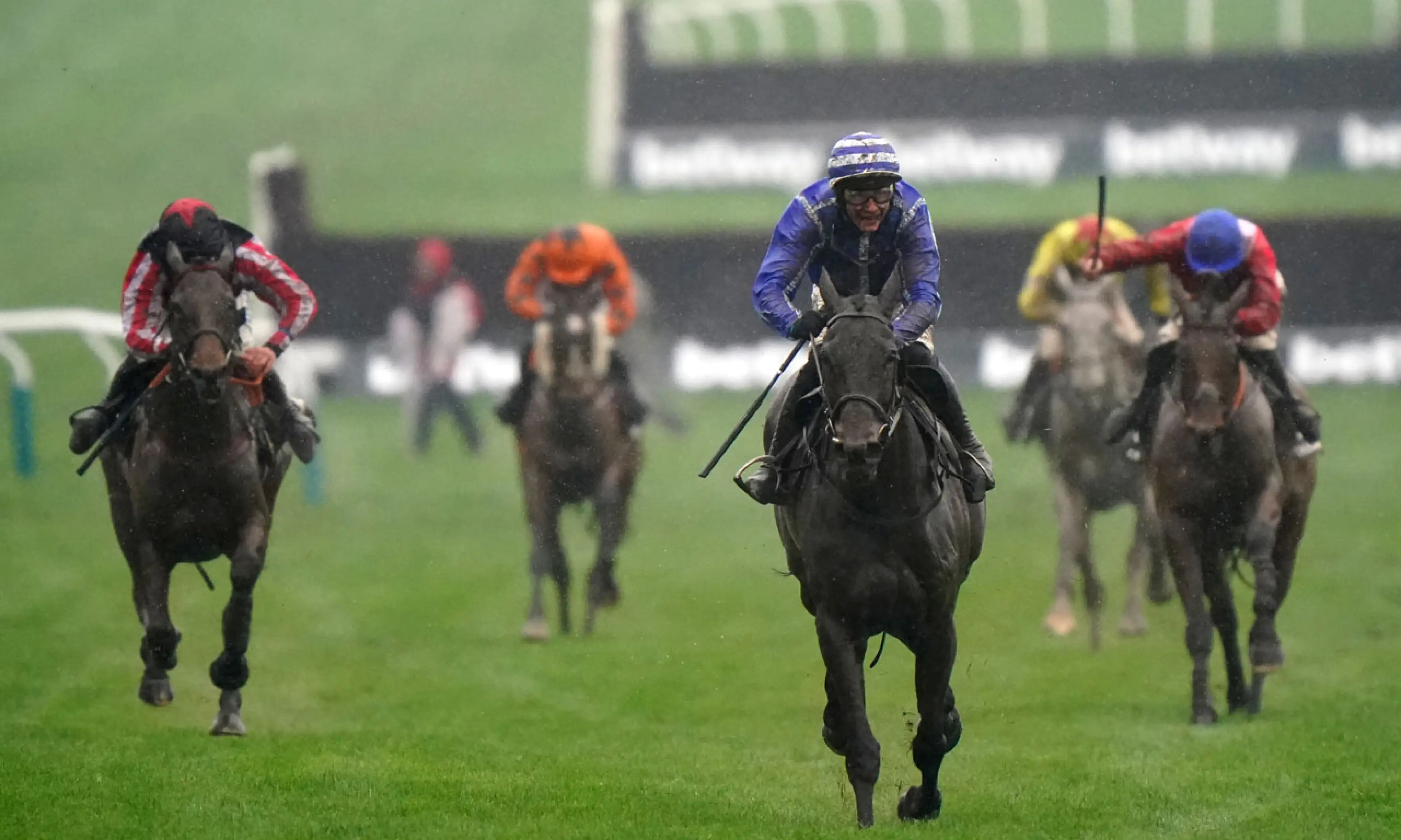 Queen Mother Champion Chase, Energumene, Cheltenham Festival on Wednesday