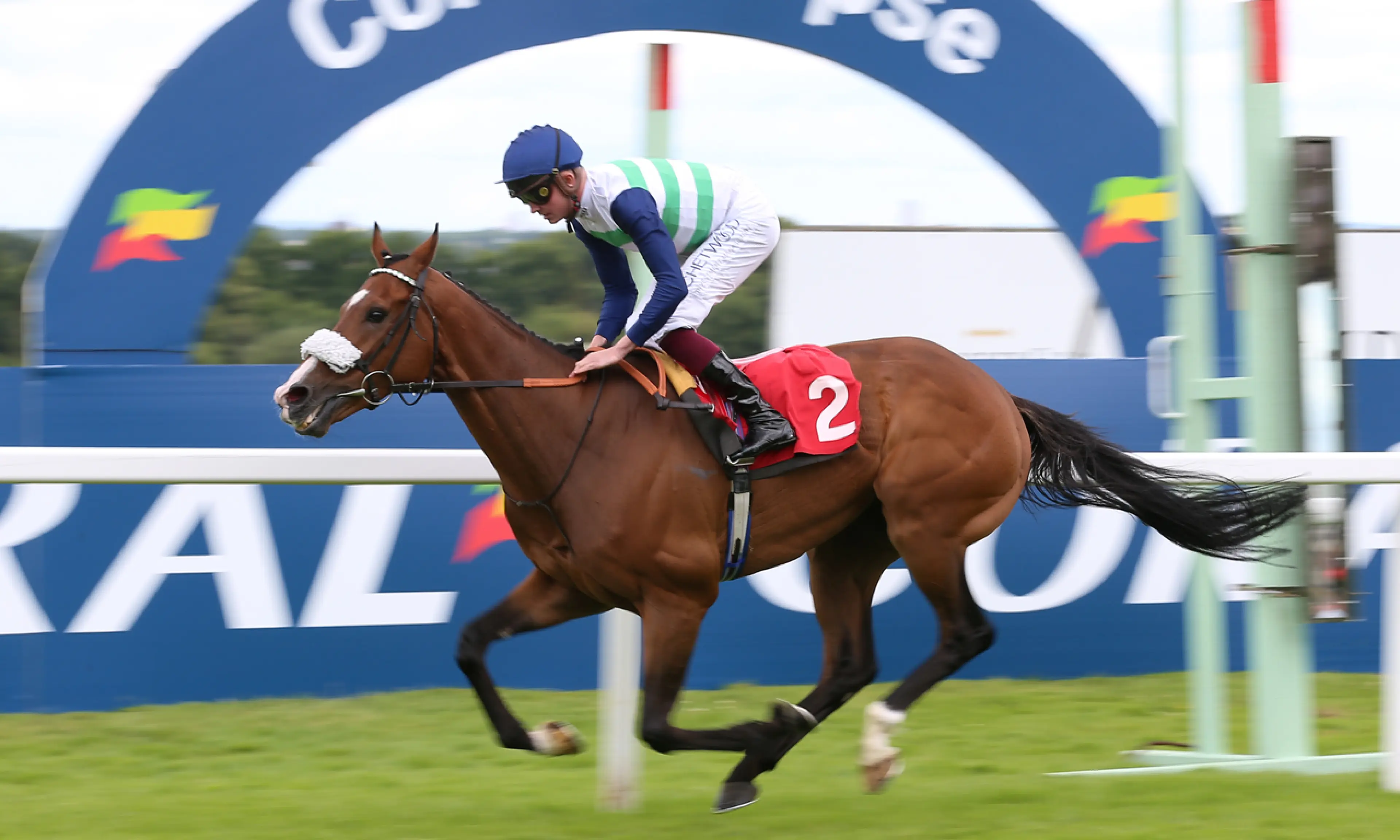 Doncaster Cup betting odds, horse racing, Coltrane