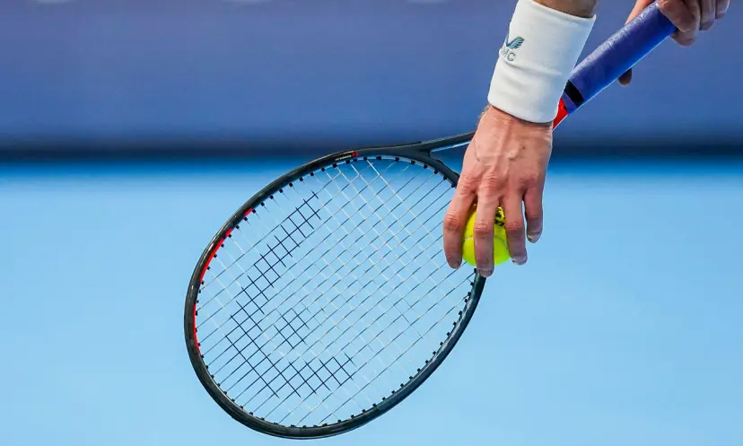 Andy Murray's career record, tennis