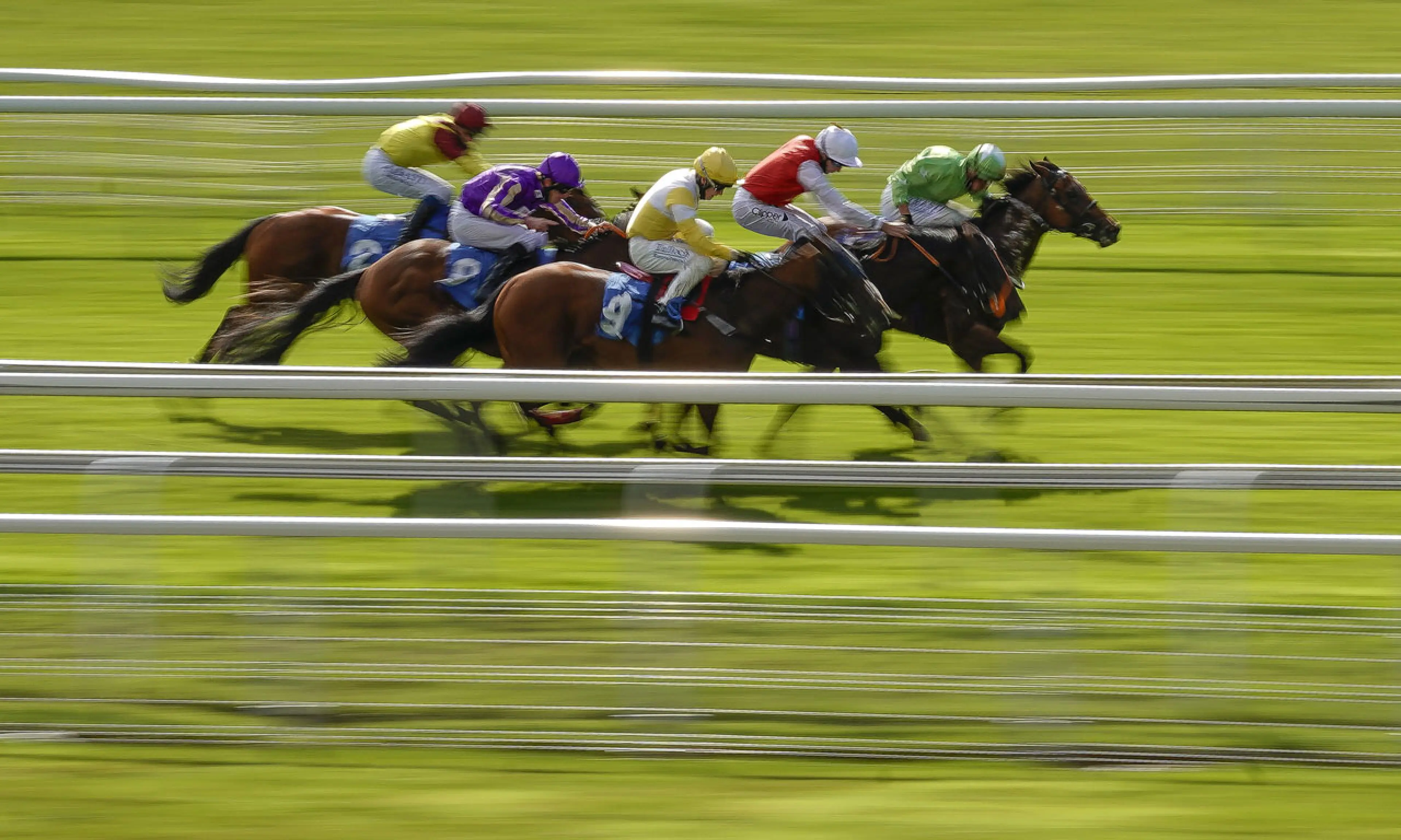 Acklam Express, Ebor Festival 2022, horse racing