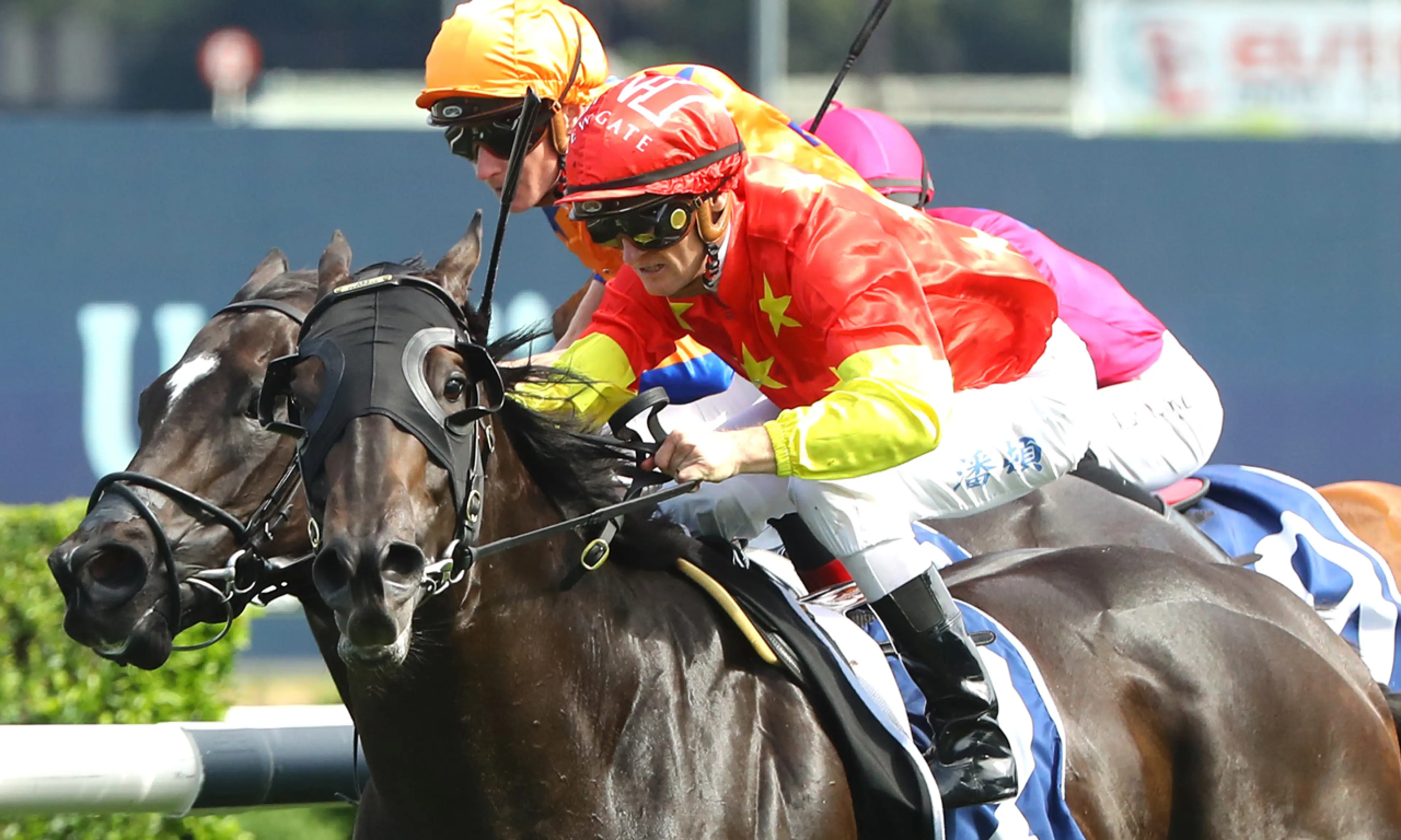 Royal Ascot Saturday tips, horse racing, Artorius