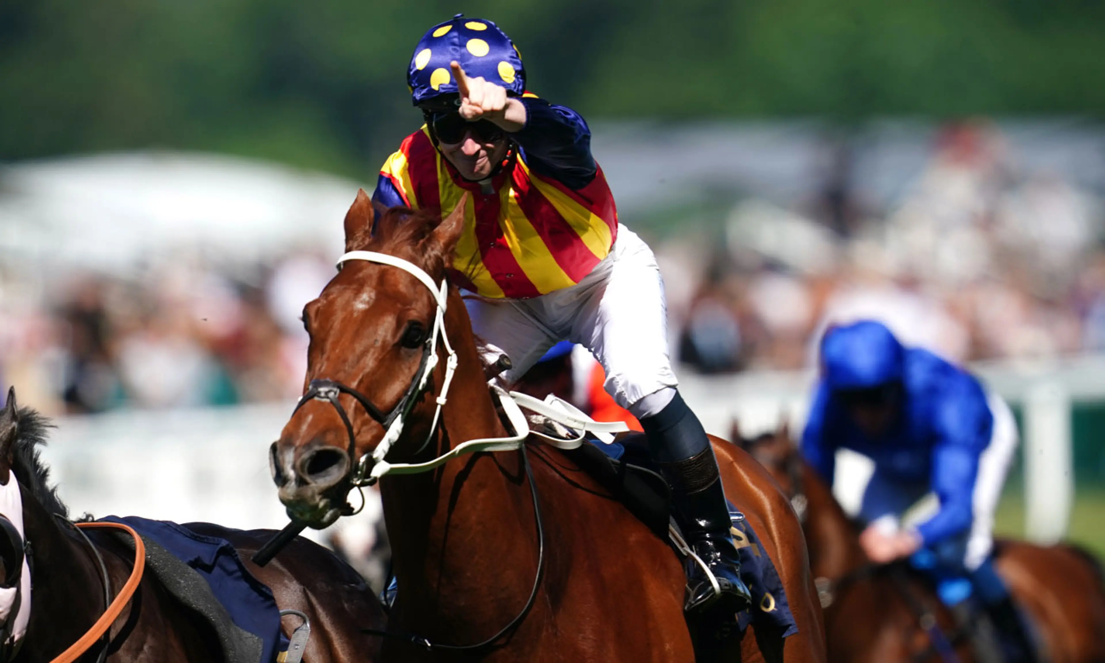Nature Strip, Ascot winners