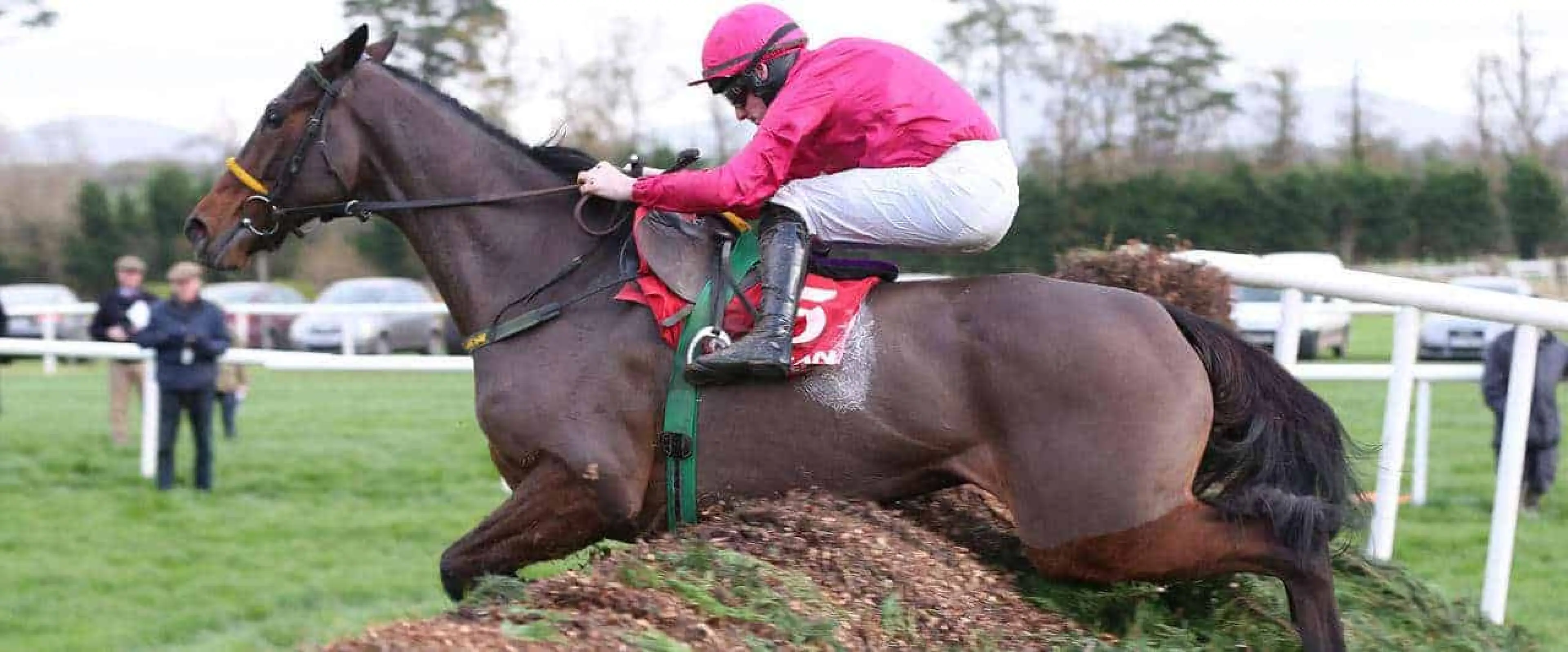 Monksland odds are among Oil Chase tips and Clonmel tips for November 17 recommended by Coral experts.