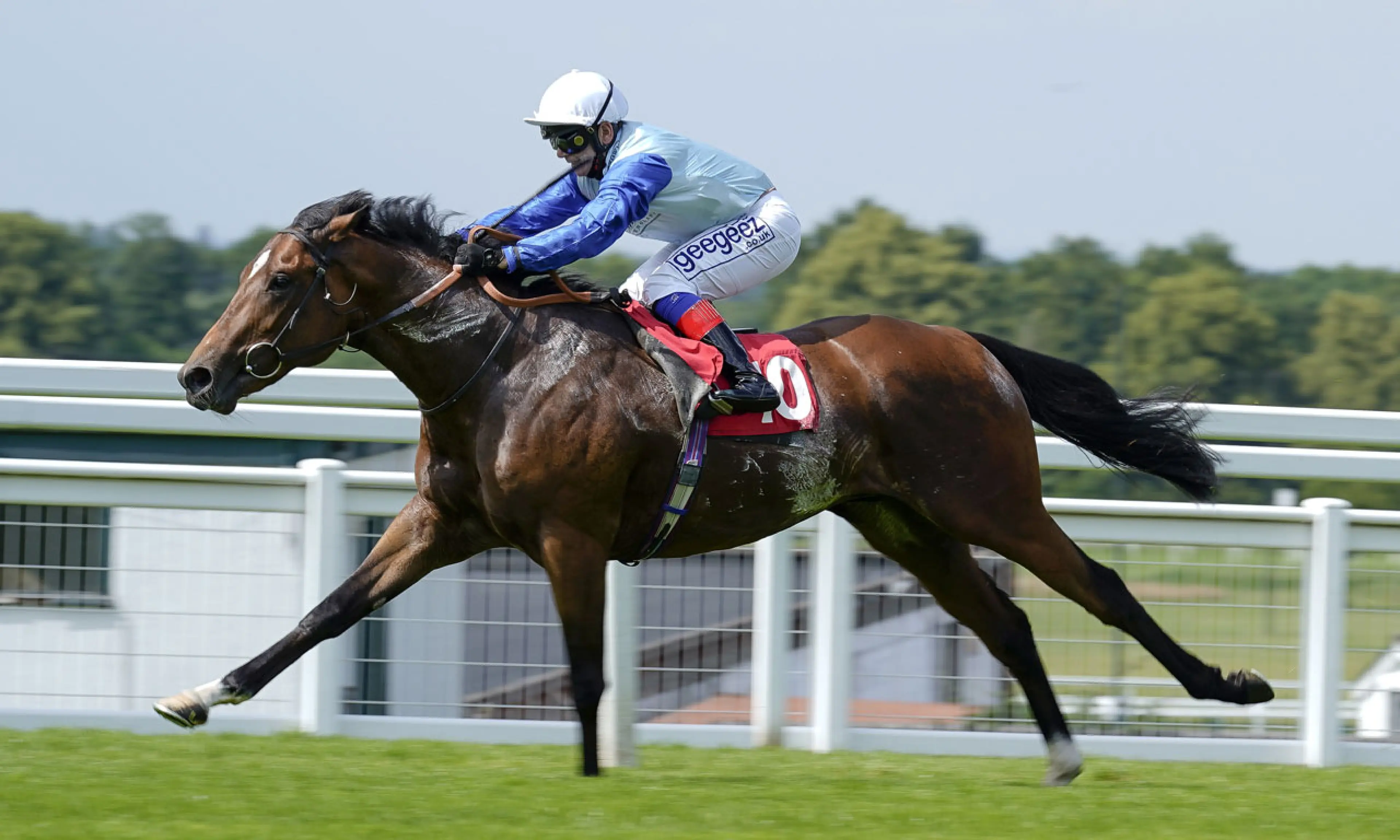 Sonny Liston, John Smith's Cup 2023, horse racing