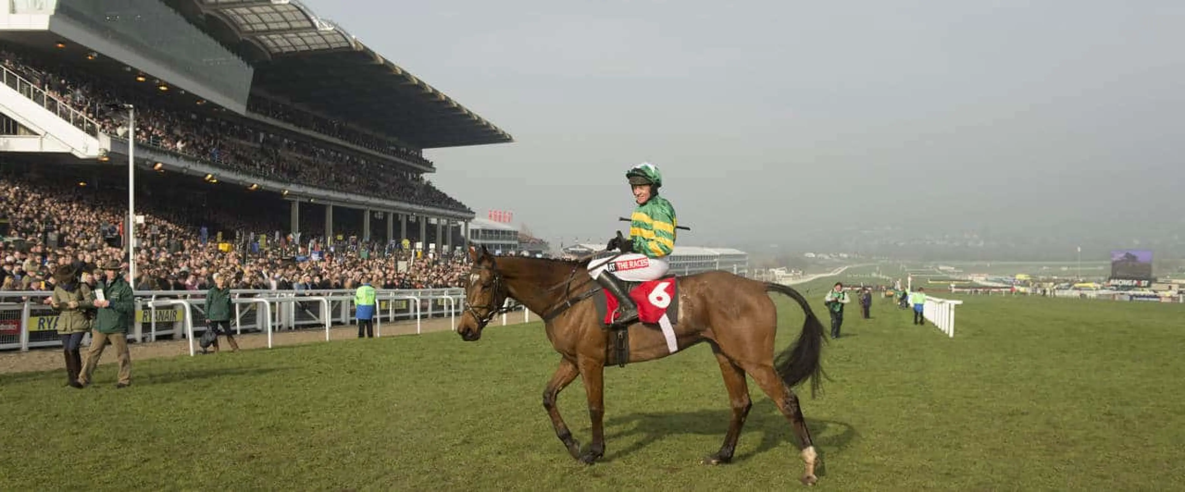 BetVictor Gold Cup ante post tips.