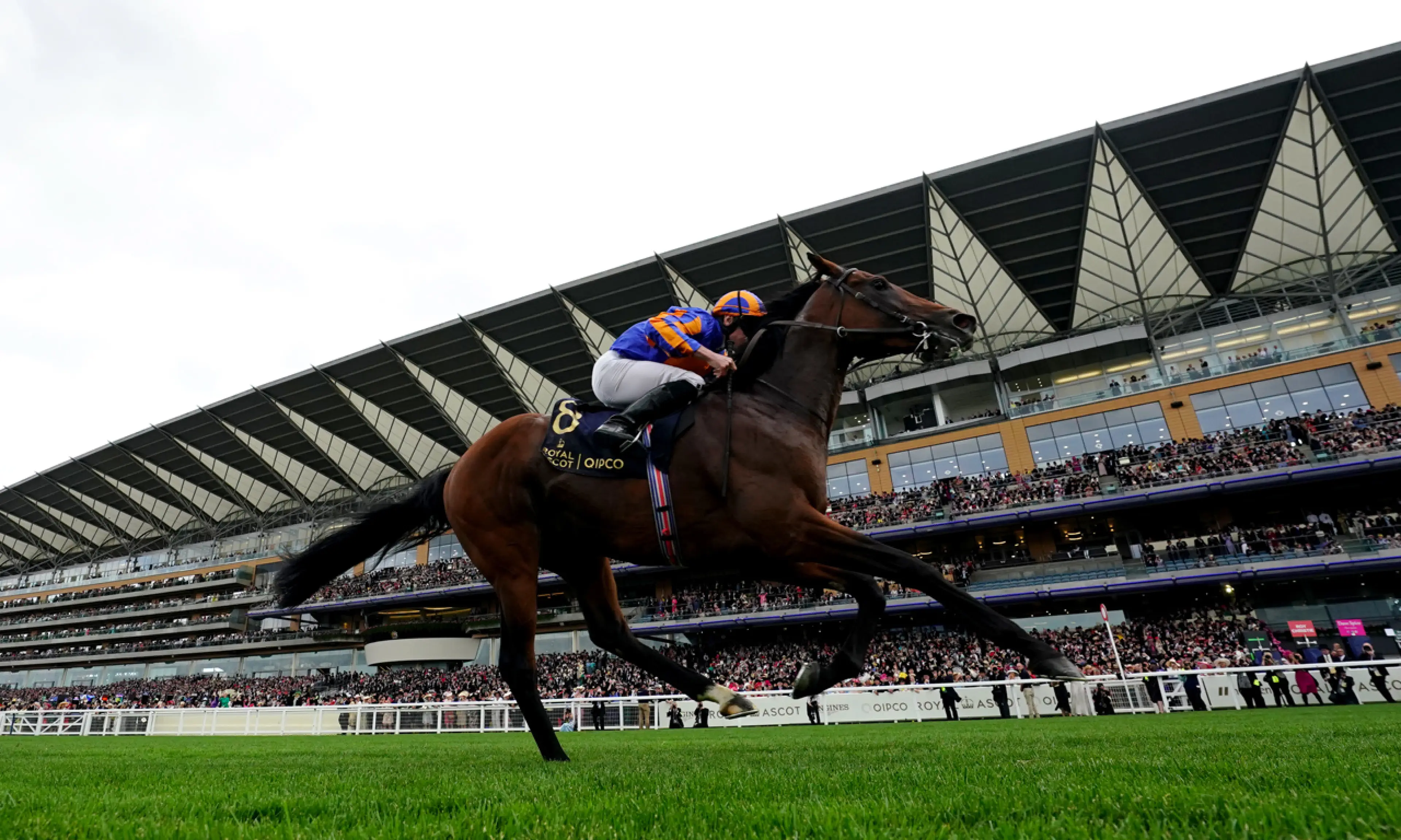 ante post betting, horse racing, Paddington
