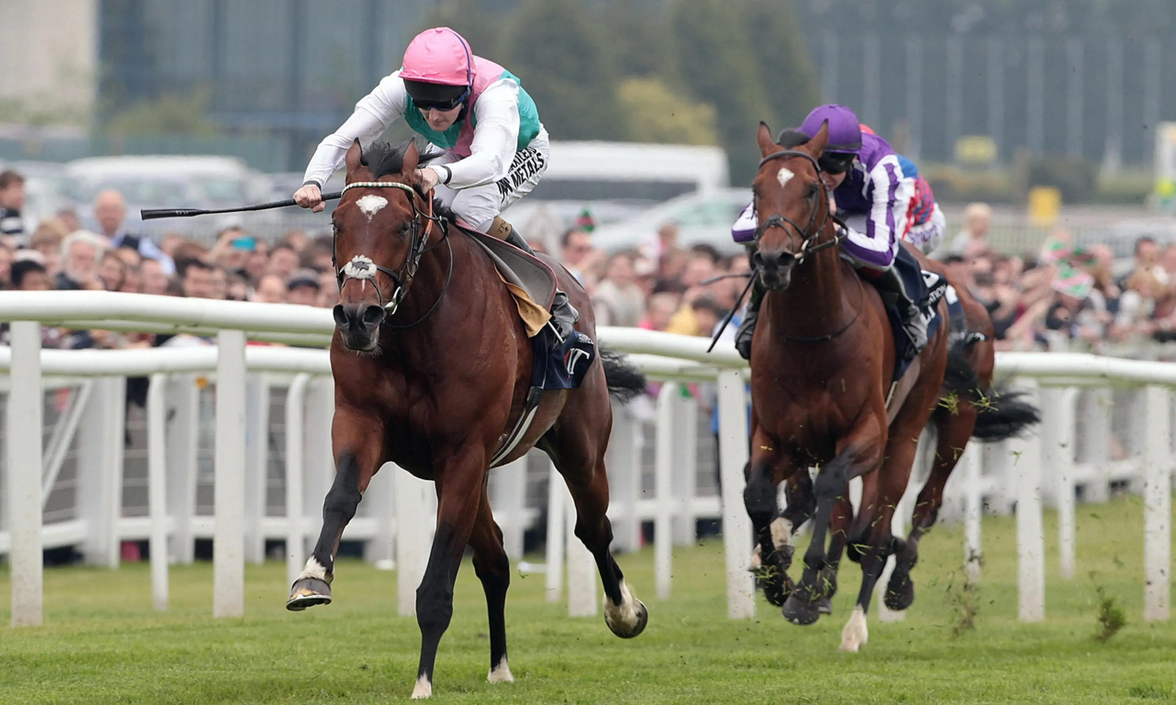Frankel, Lockinge Stakes winners, horse racing