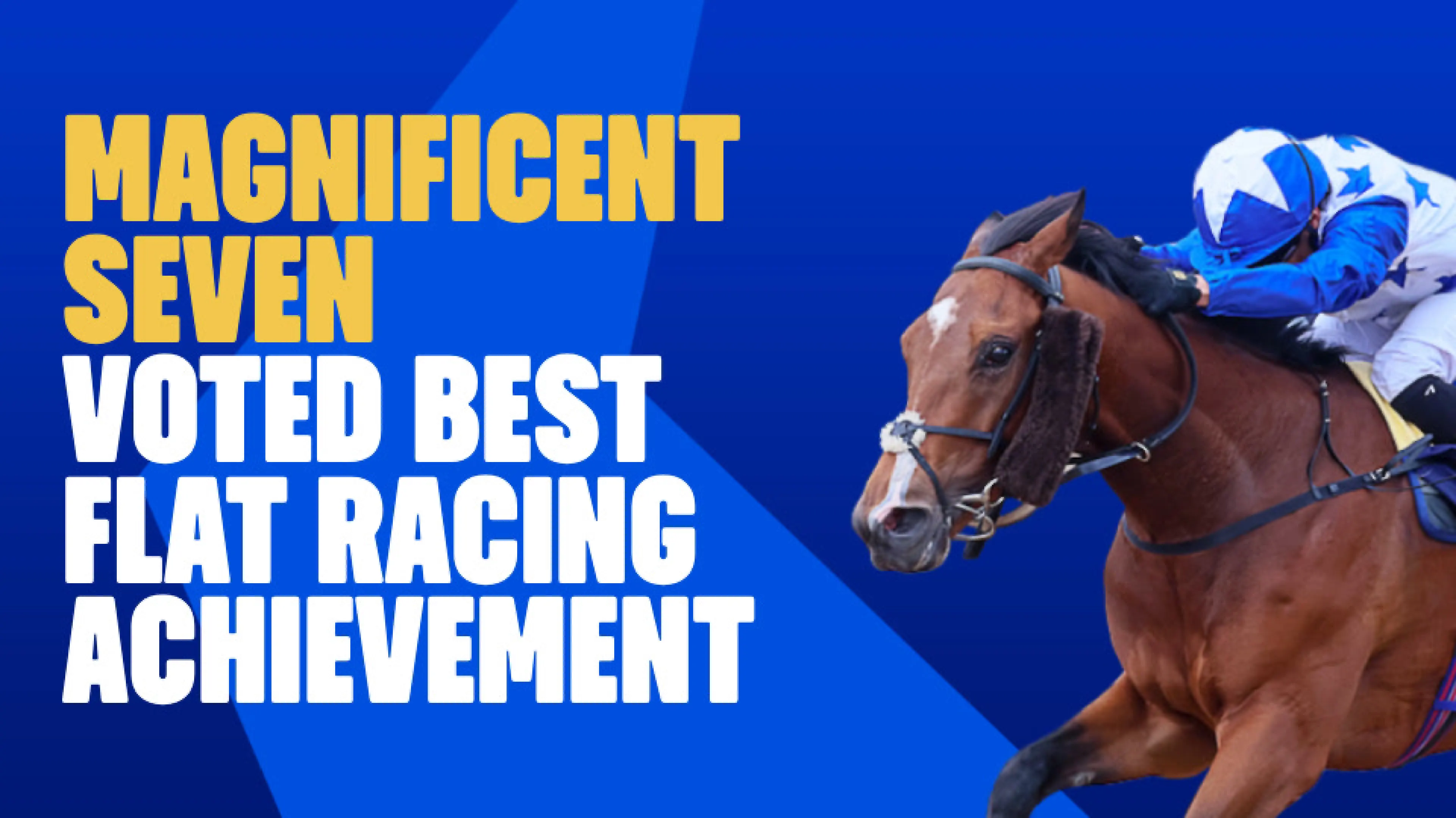 OnS SEO Sports 960x540   MAGNIFICENT SEVEN VOTED BEST FLAT RACING ACHIEVEMENT
