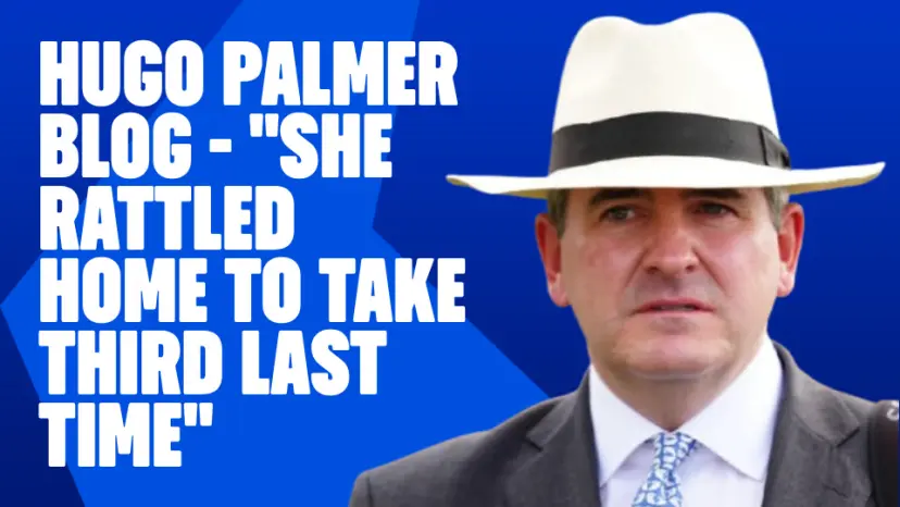 Hugo Palmer blog