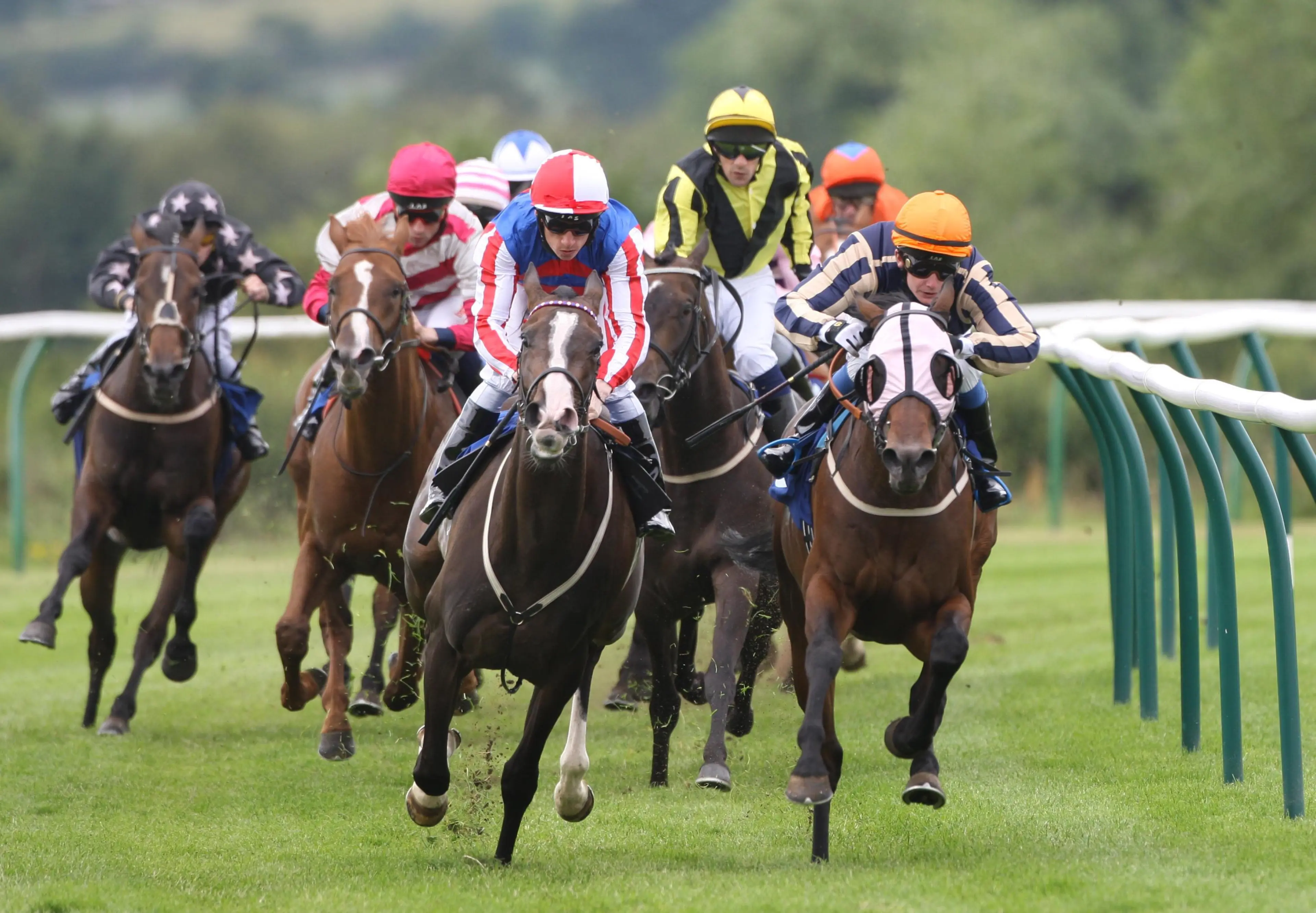 Horse Racing - Summer Season - Warwick Racecourse