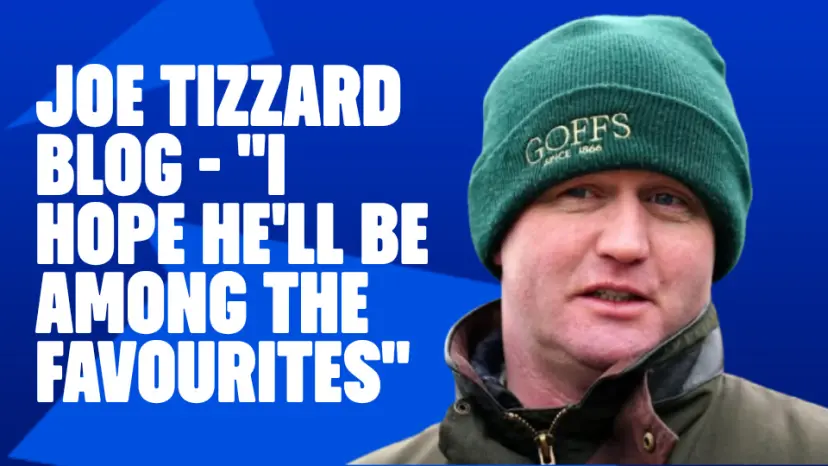 OnS SEO Sports 960x540   JOE TIZZARD BLOG I HOPE HE LL BE AMONG THE FAVOURITES (1)