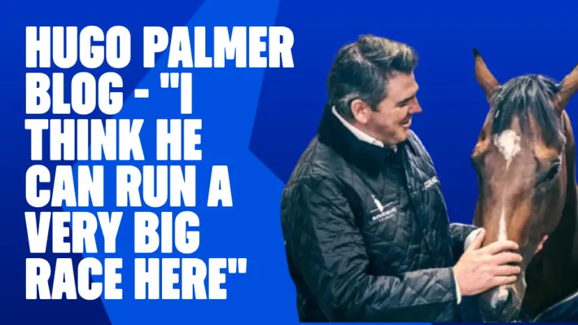 Hugo Palmer blog
